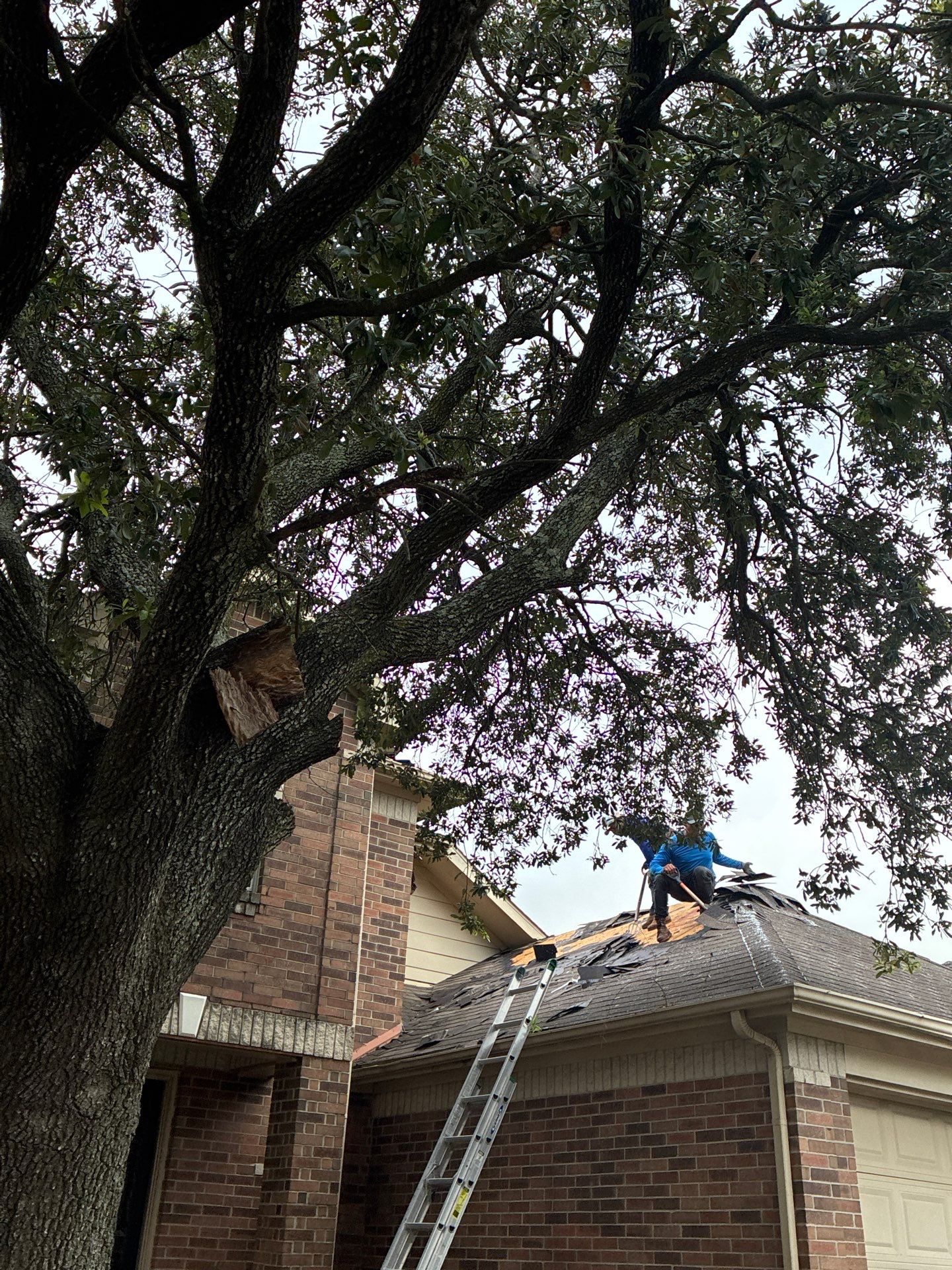 Roof Replacement in Westbridge, Houston TX by Roof Repair Company
