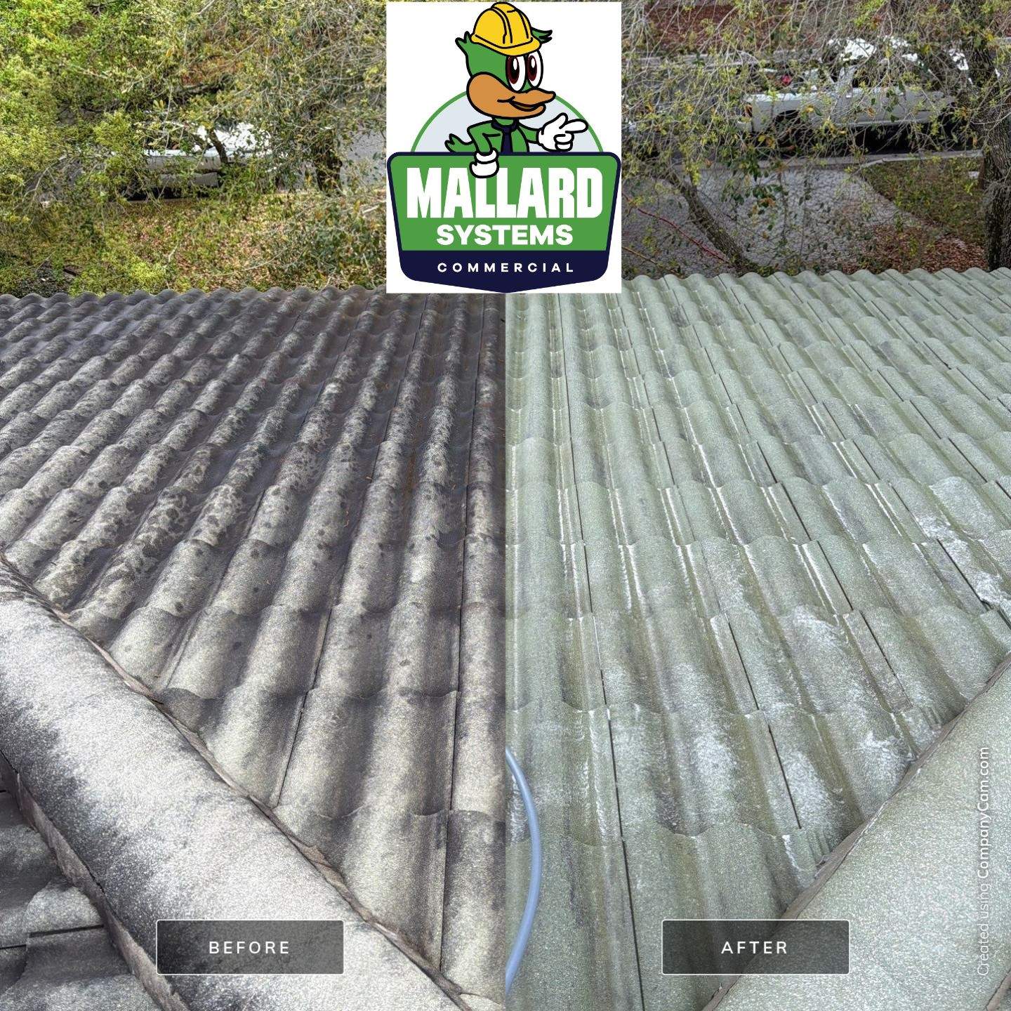 Tile Roof Cleaning by Mallard Systems