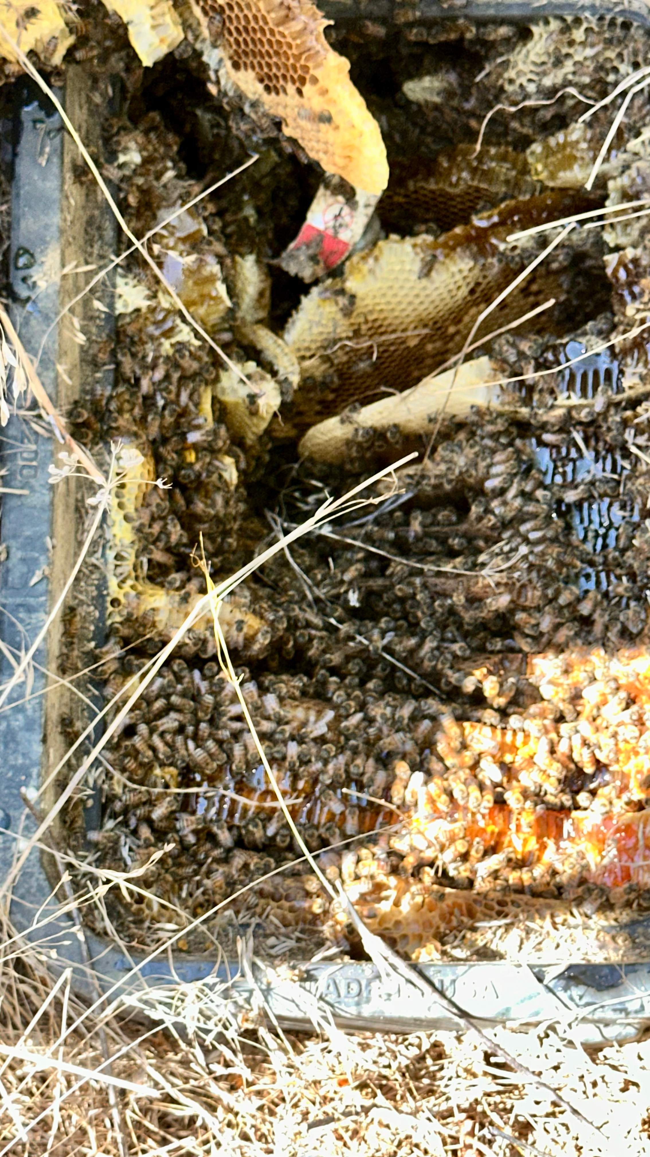 Well Meter by Rockwall Honey Bee Company