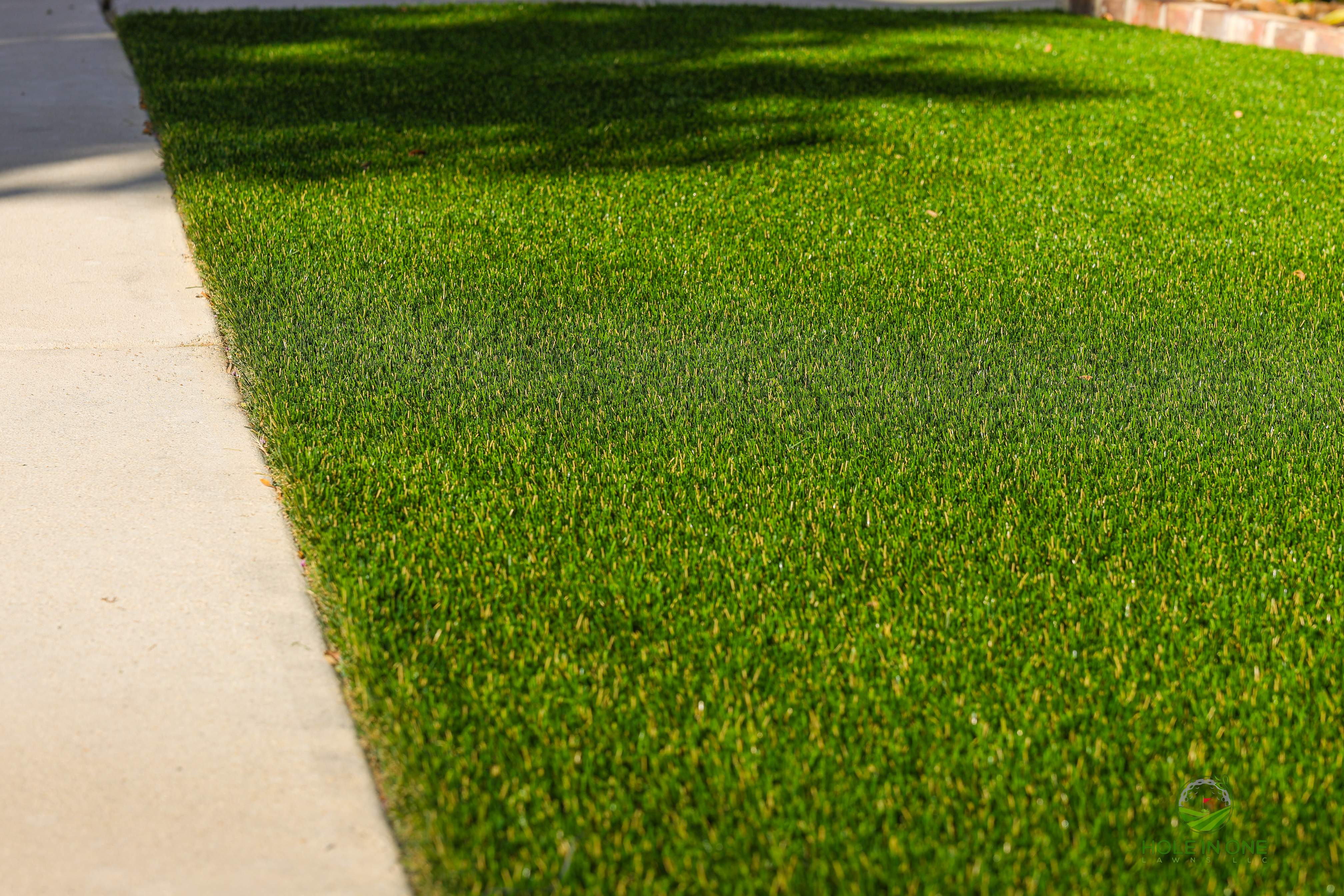 Wortham Oaks, San Antonio TX by Hole In One Lawns, LLC