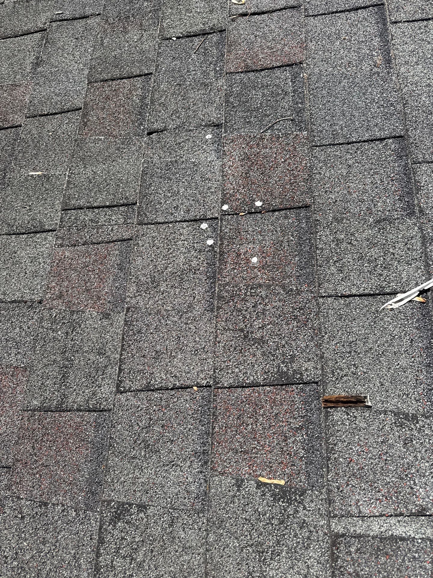 Exterior House Painting in Arlington, VA by My Painter 