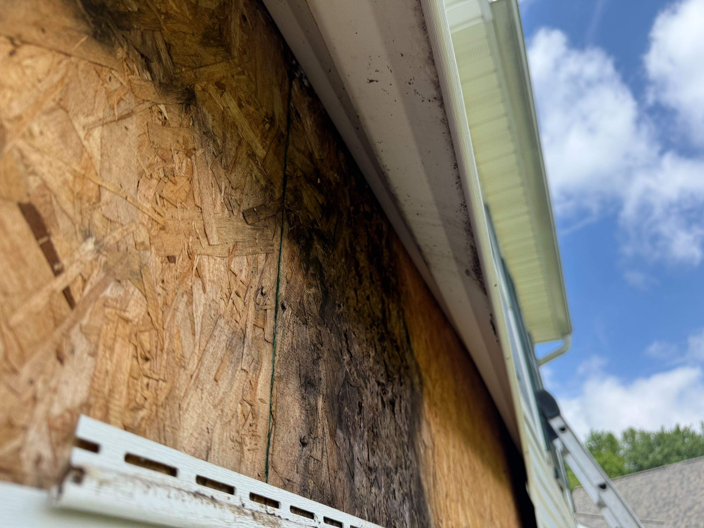 Siding Repair by Stofan Construction LLC