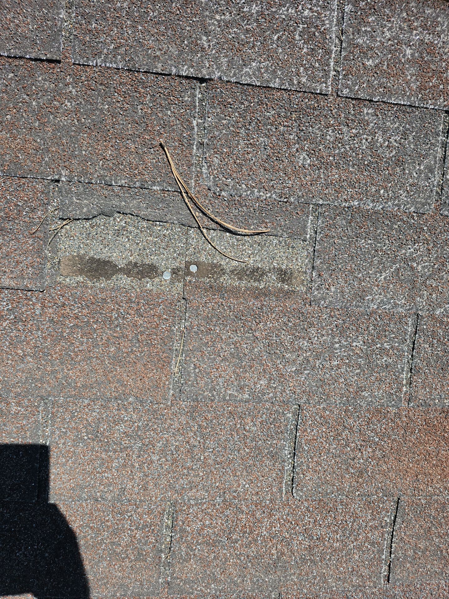 Malarkey Shingles in Arizona by Weather-Tite Exteriors LLC
