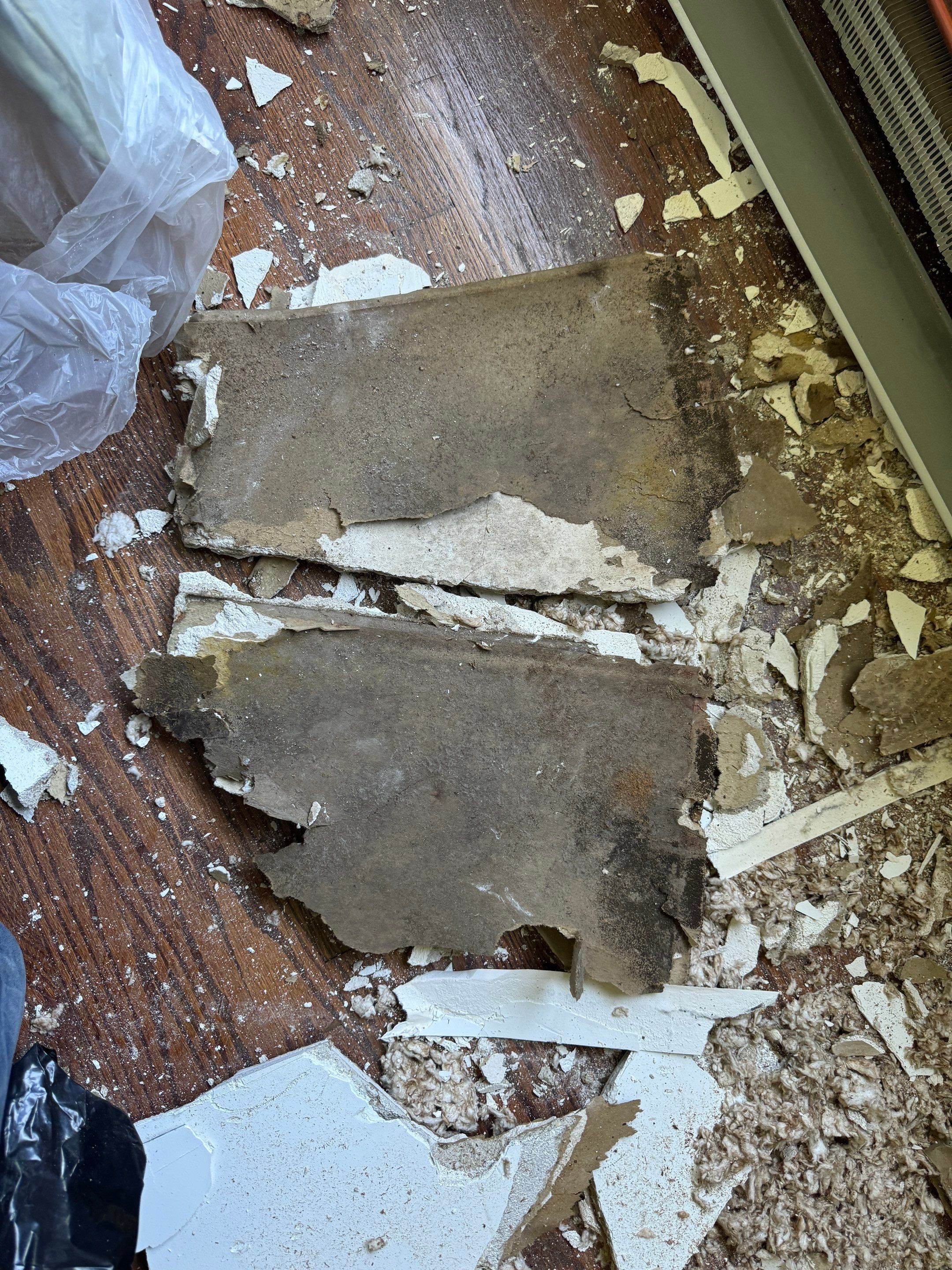 Bedroom Mold Remediation by Home Guarantee, LLC