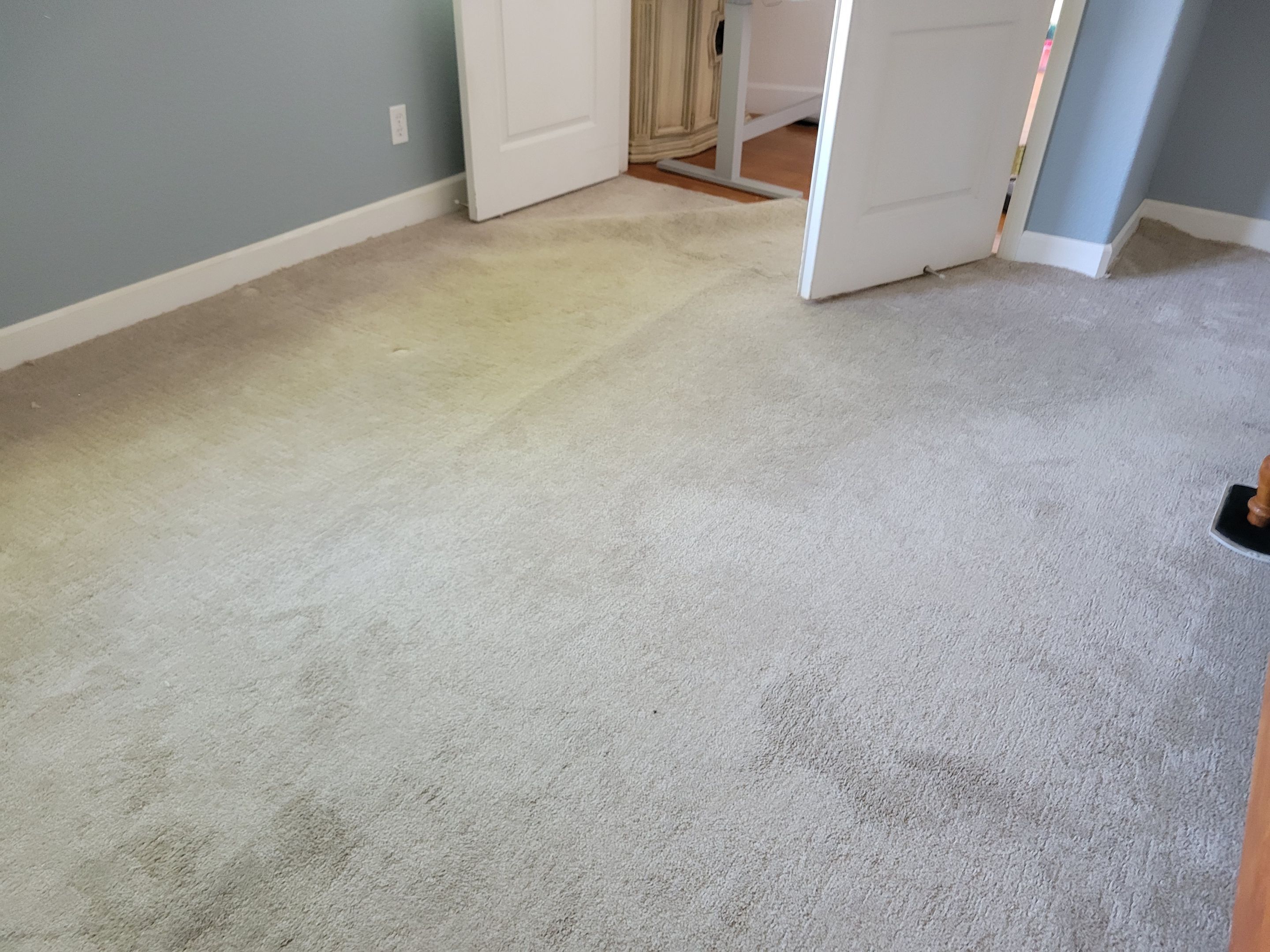 El Dorado Hills Carpet Re-stretch & Cleaning by Ardent Carpet Restore LLC