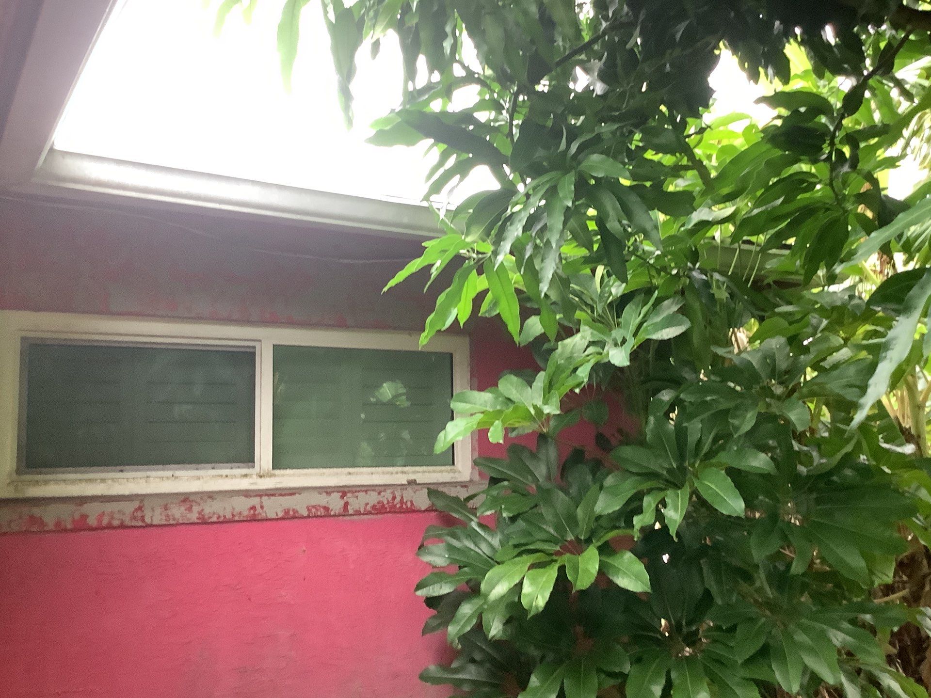 Custom Aluminum Gutter Installation in Fort Myers FL by Gutter Professor by Gutter Professors