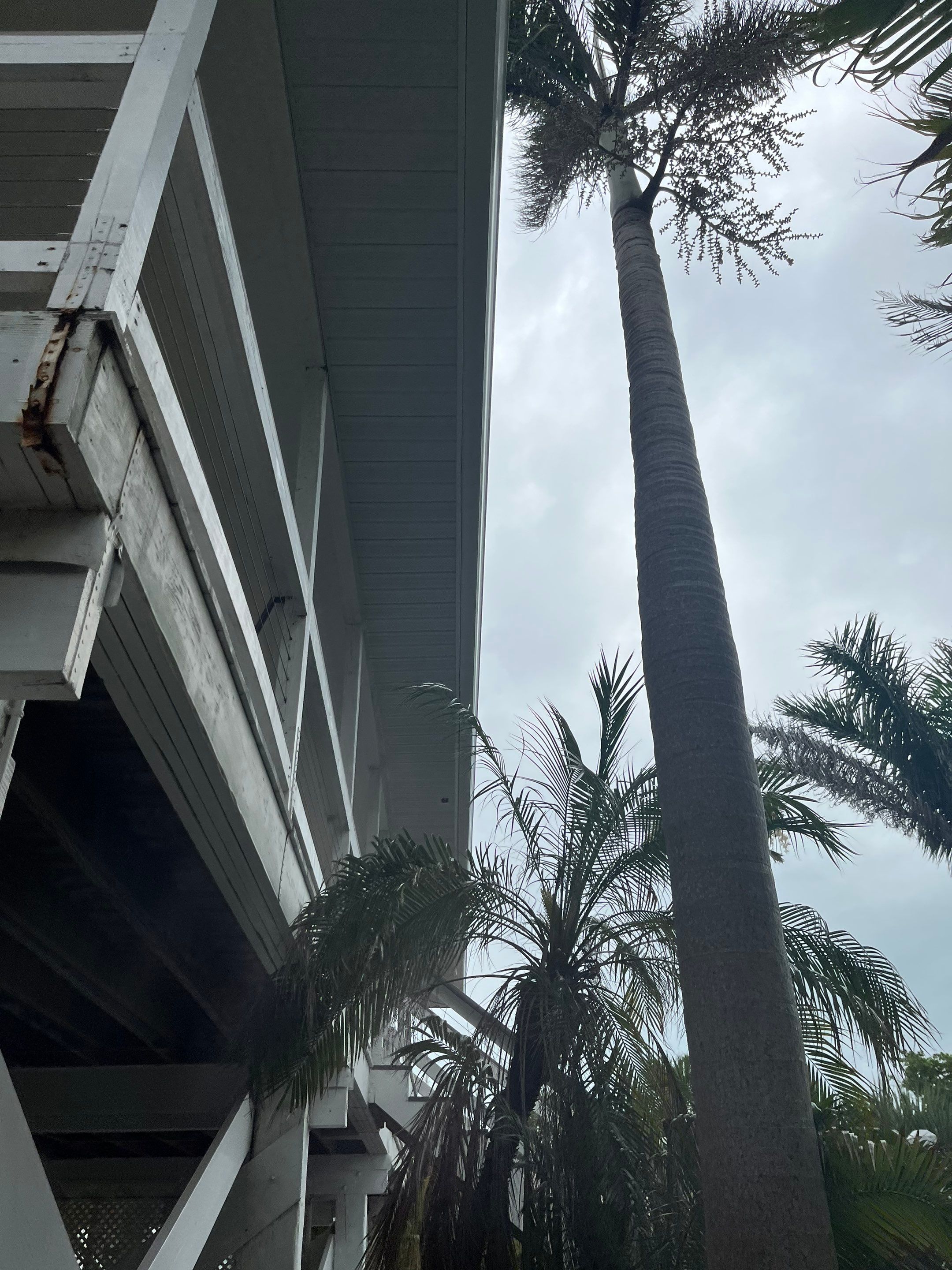 Complete Gutter, Soffit & Fascia Project in Placida FL by Gutter Professors