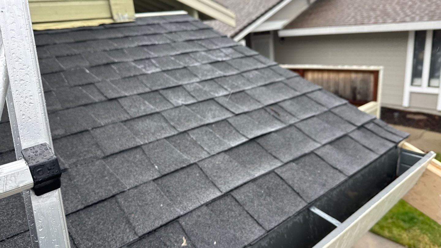 Project in Antelope by NuLead Construction Inc