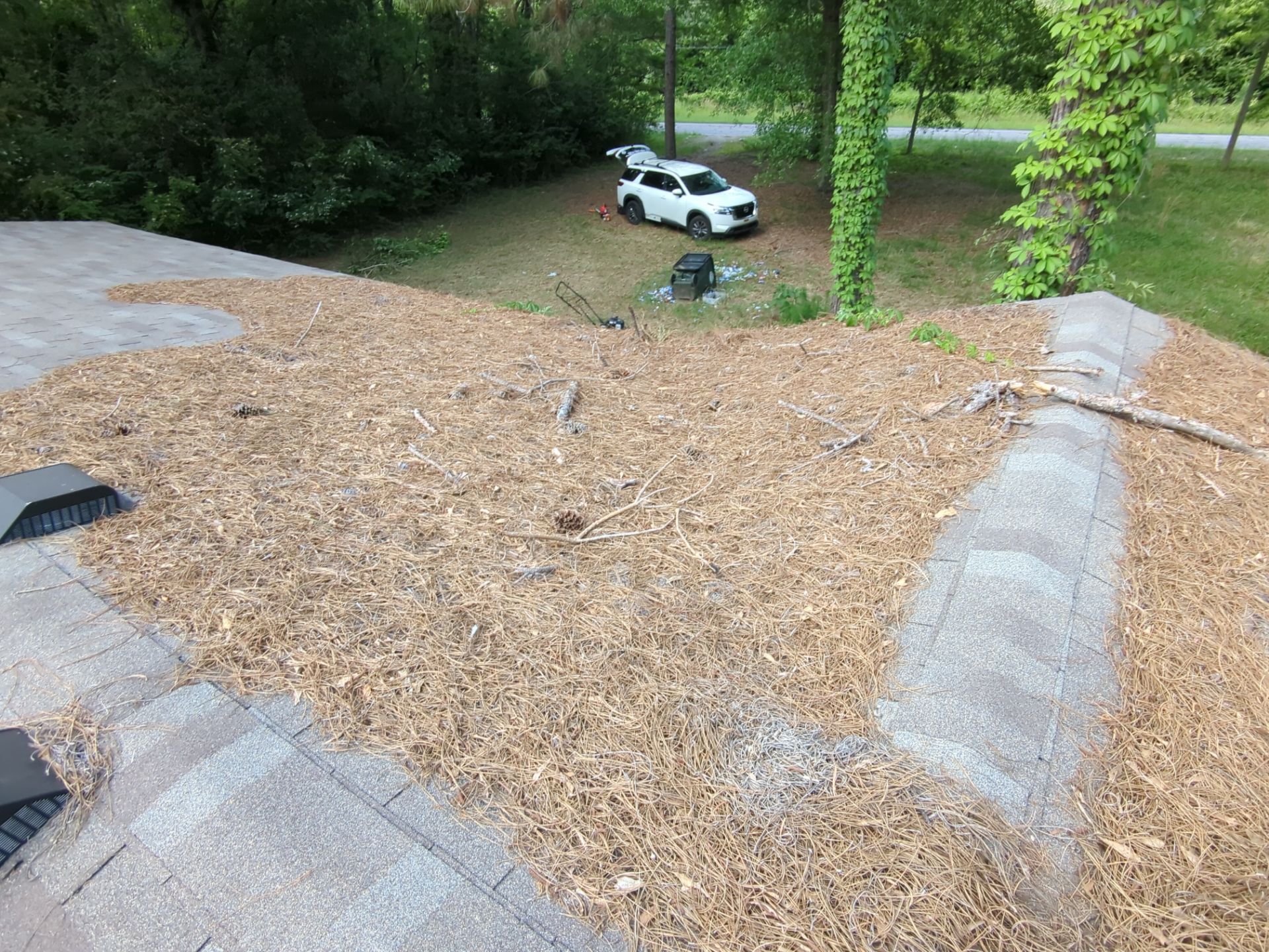 Exterior Clearing - tree trimming - grass cut by Swift Signings and Services LLC