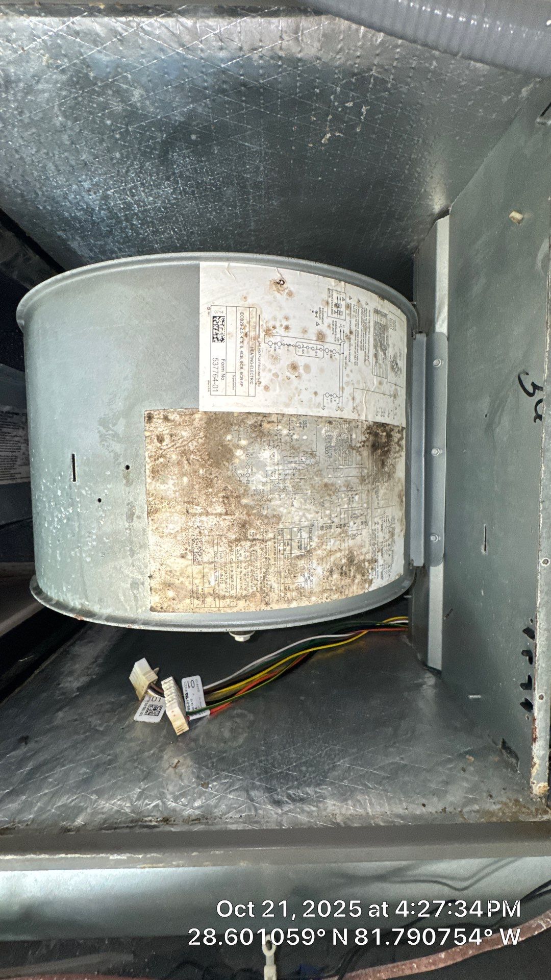 Air Duct and Dryer Vent Cleaning in Groveland by Hygienic Air, Inc