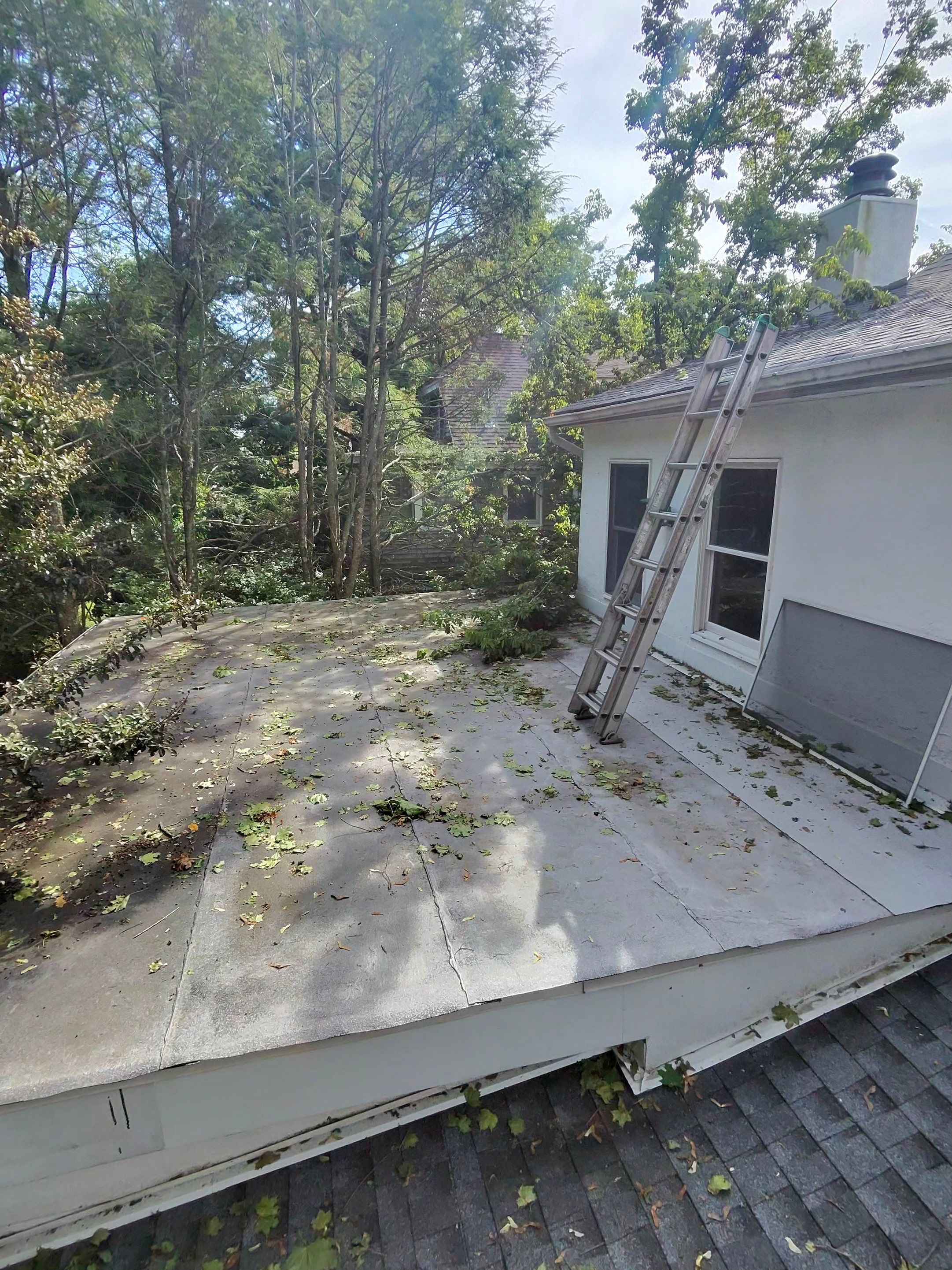 Gutter and Roof Cleaning for Residential Property in Great Neck by Above All Gutters 