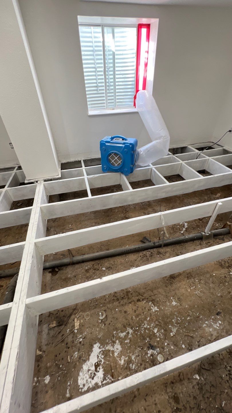 Mold Remediation by Accountable Home Services