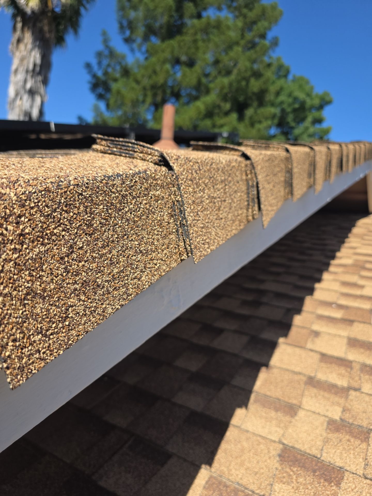 Roof Rejuvenation using Roof Maxx Treatment by Roof Maxx of Folsom