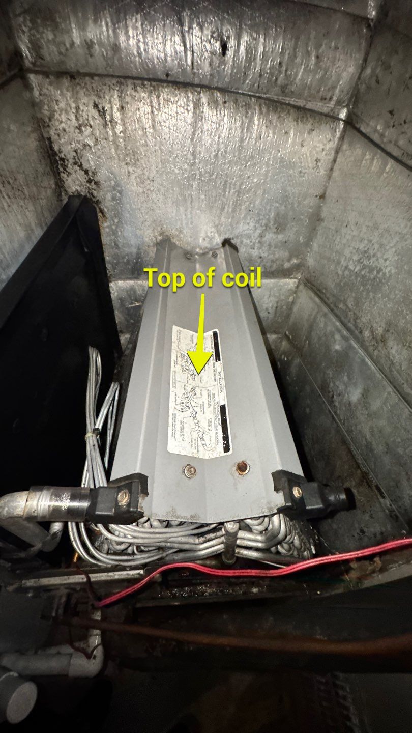 Extremely Dirty Air Duct Cleaning in Fruitland Park by Hygienic Air, Inc