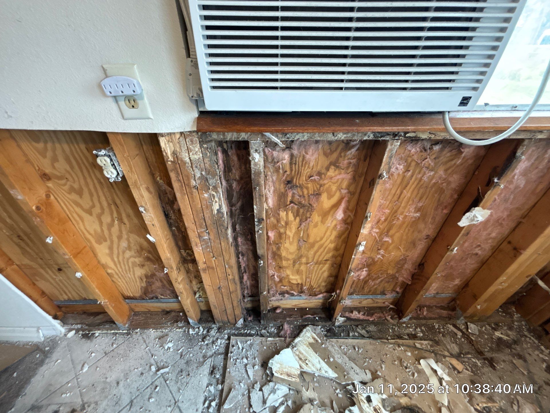 Remediation Of Mold by Ampm Restoration Services