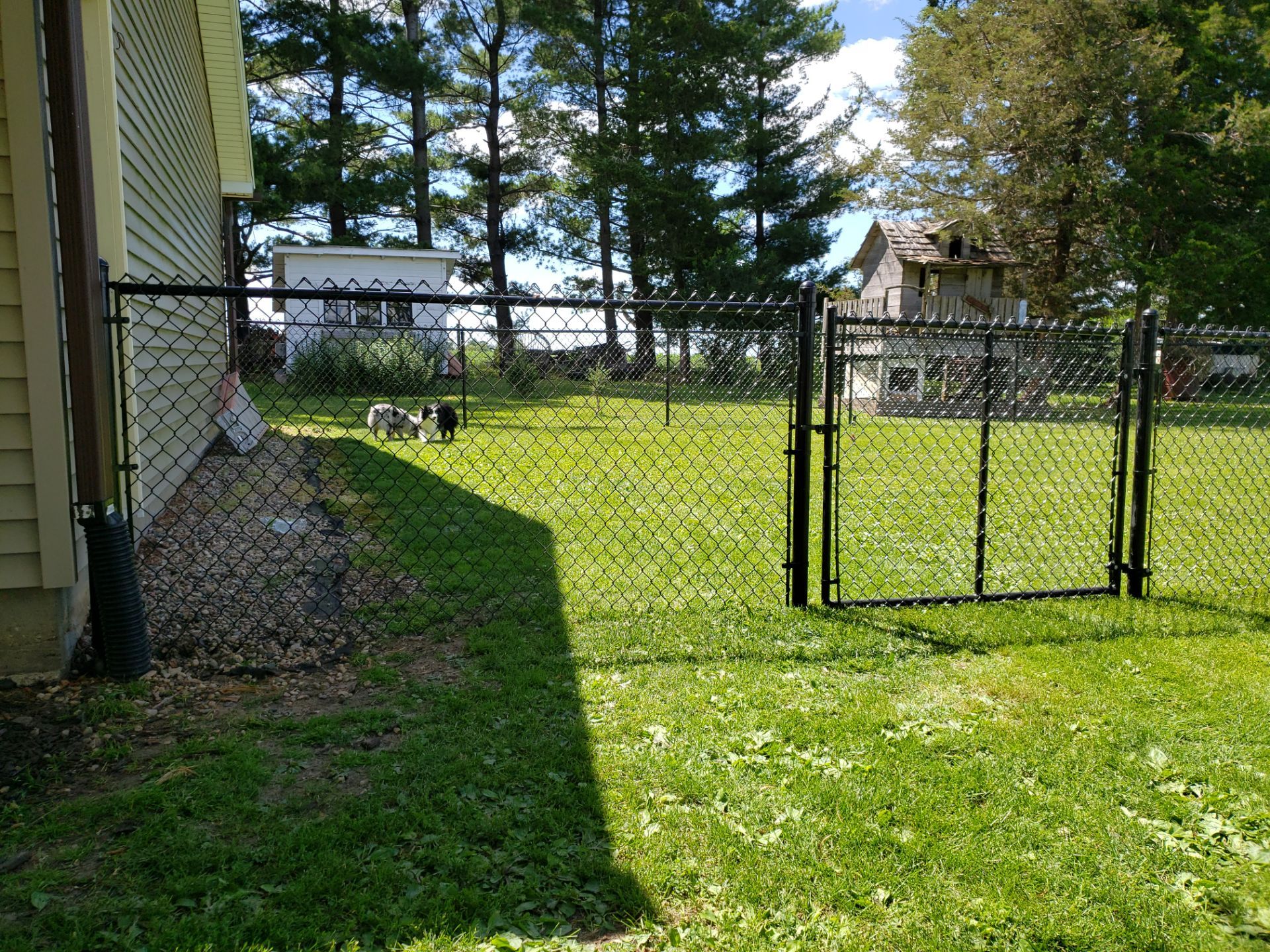 Residential Black Vinyl-Coated Chain Link Fence Installation in Bristow by Perfect Picket Fence and Stain