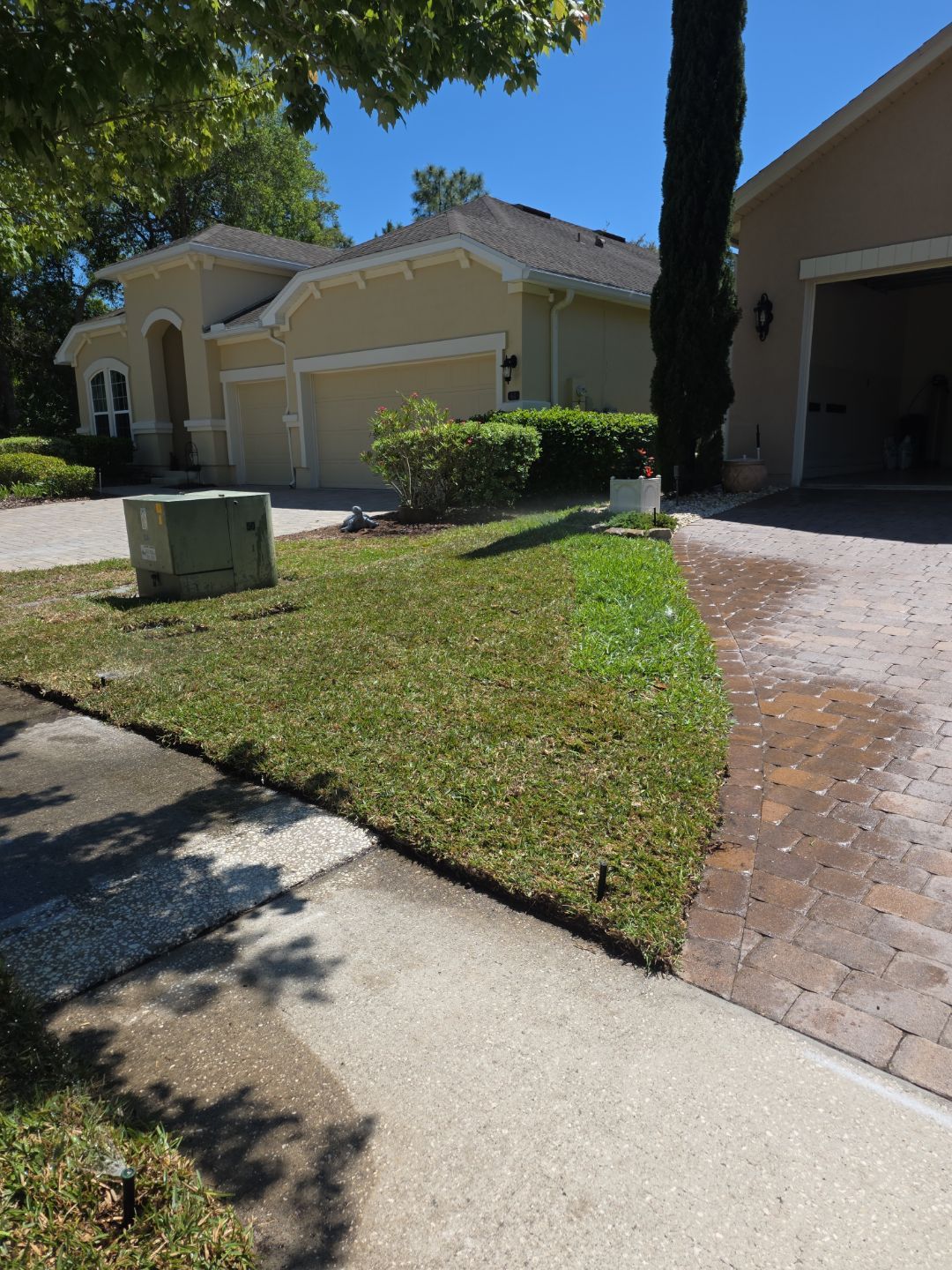 Residential | Sod Installation by ProGreen Services