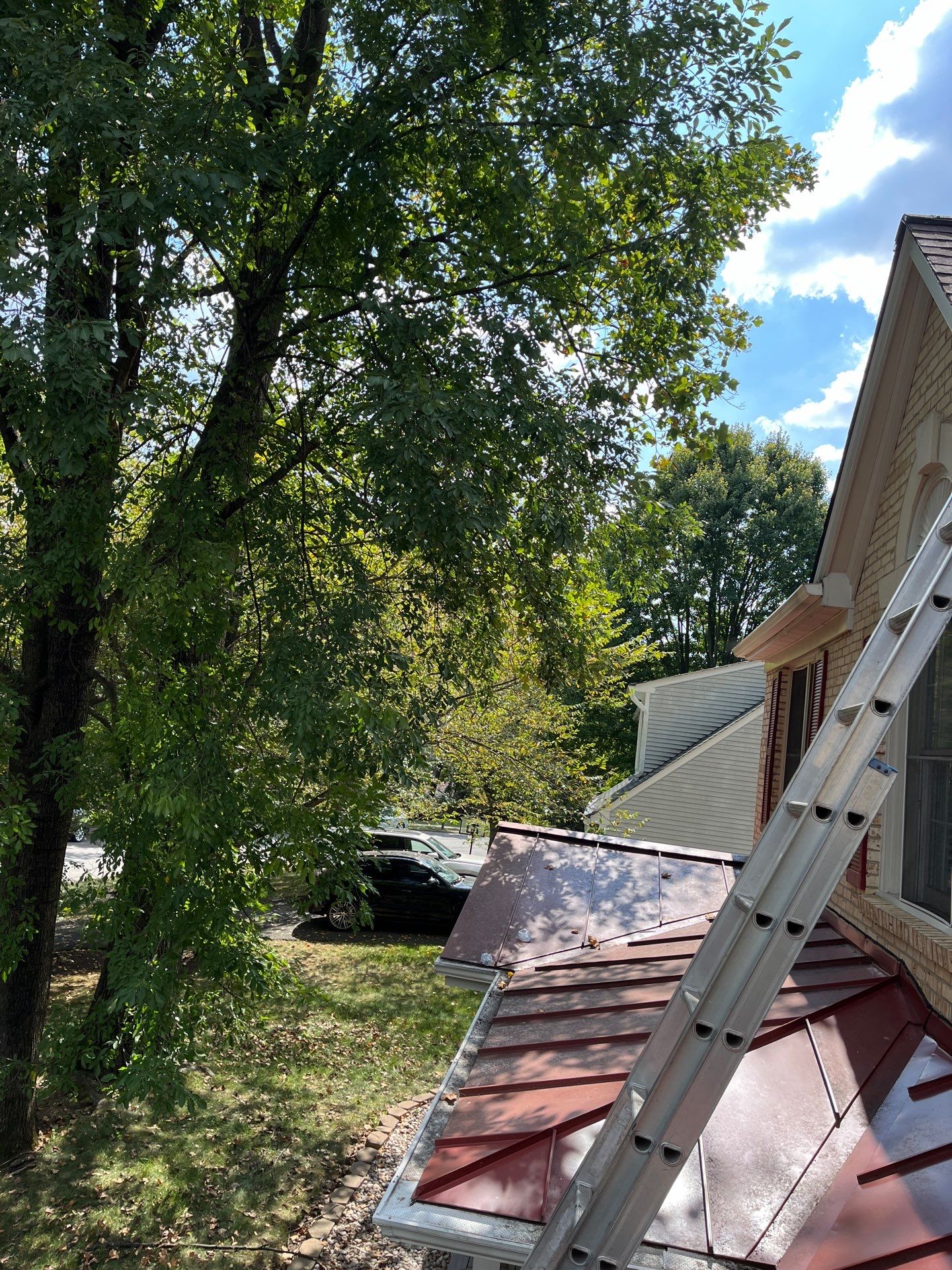 Vienna: Residential Roof Replacement with CertainTeed Landmark Designer Shingles in Burnt Sienna by RM Banning, Inc.