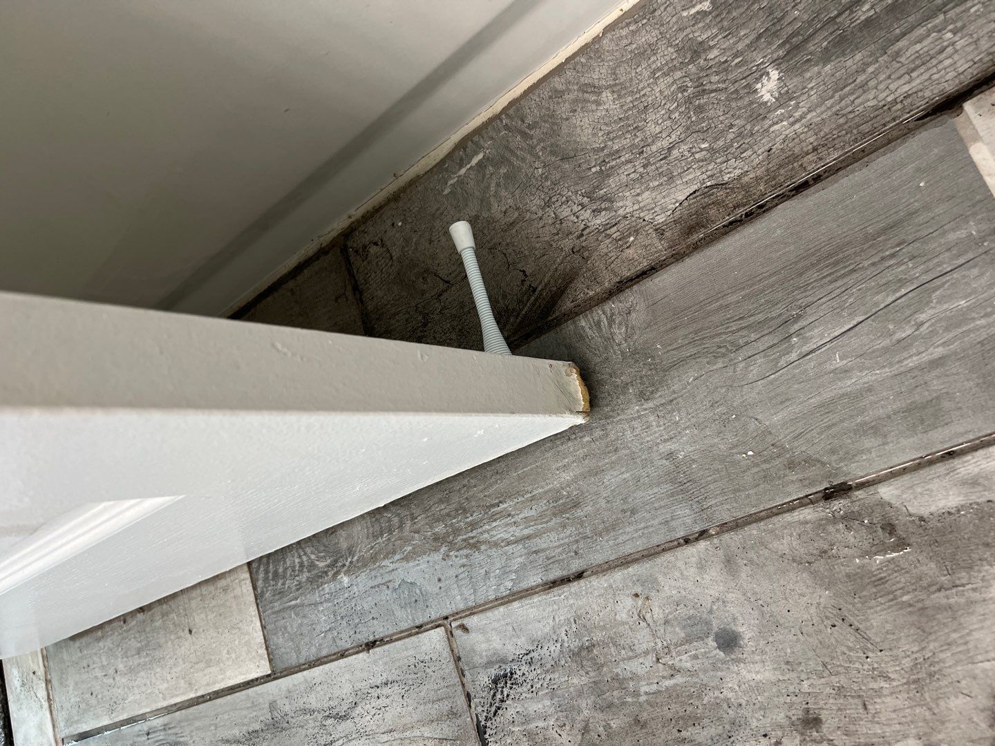 Project in Novi by EzDry Water Mitigation & Property Restoration