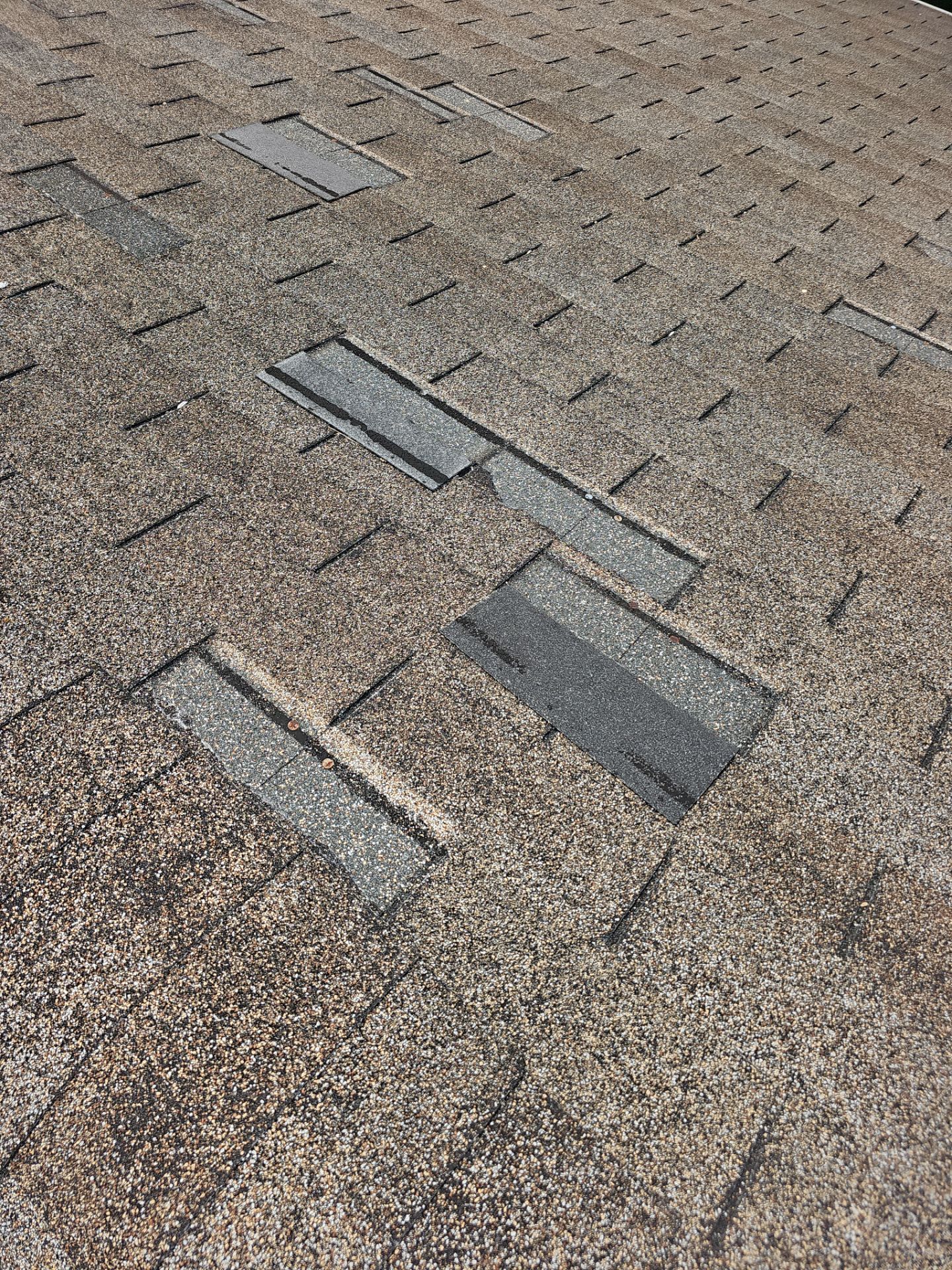 Roof Replacement - Colonial Slate by Winchester Roofing