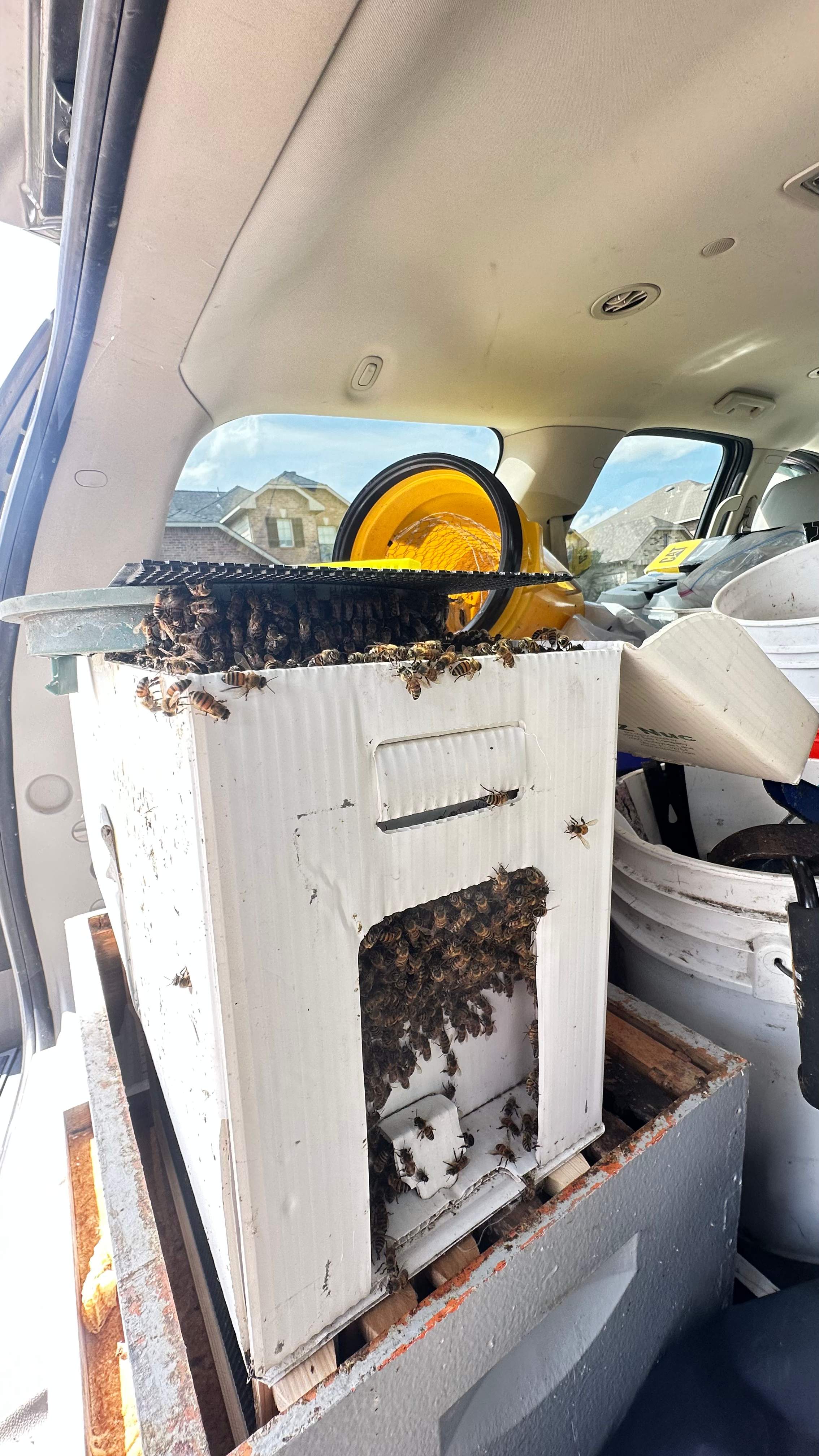 Irrigation Box by Rockwall Honey Bee Company