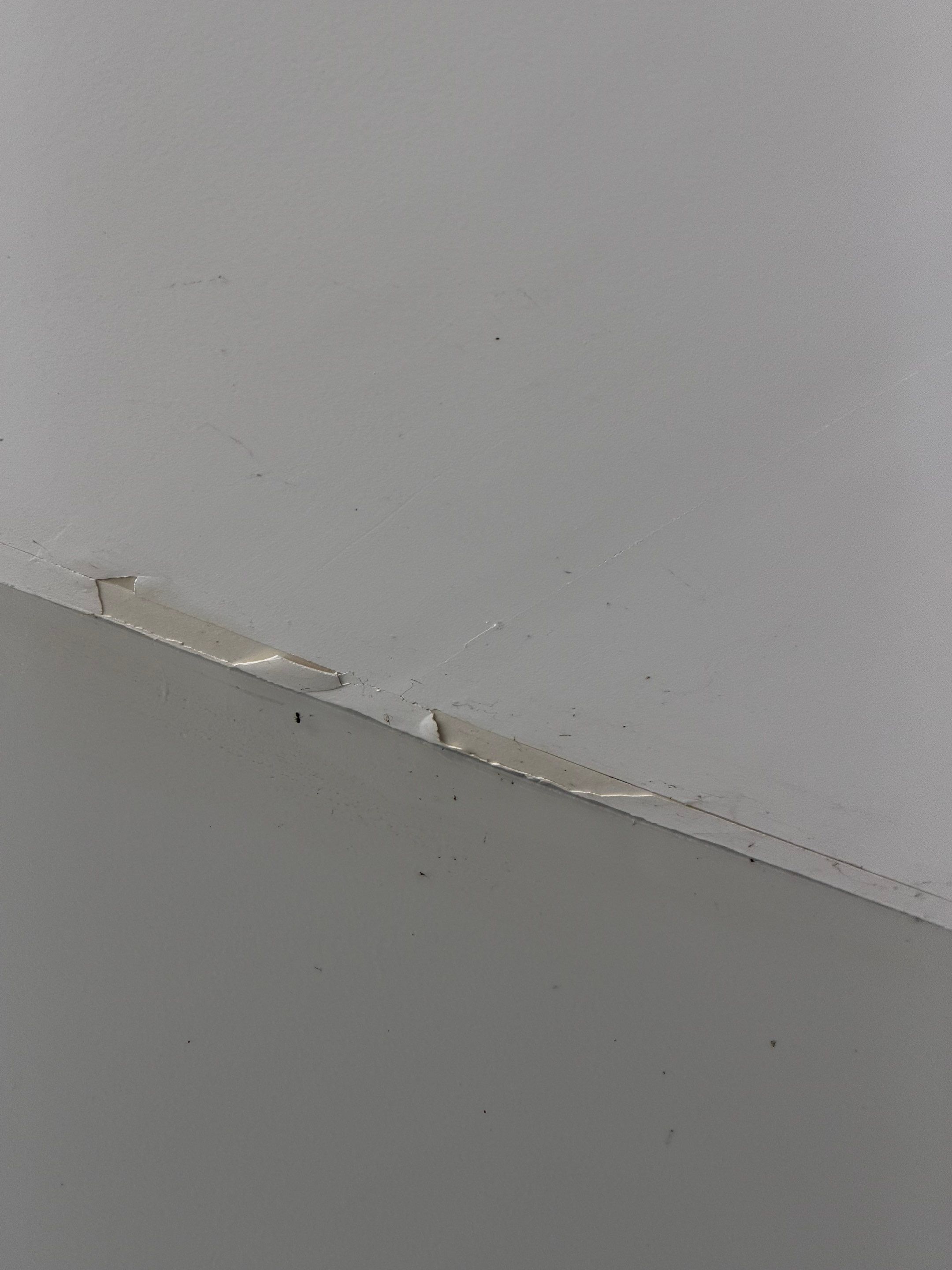 Garage Interior Painting and Drywall Repair in Monroe by PGP Surface Solutions, LLC