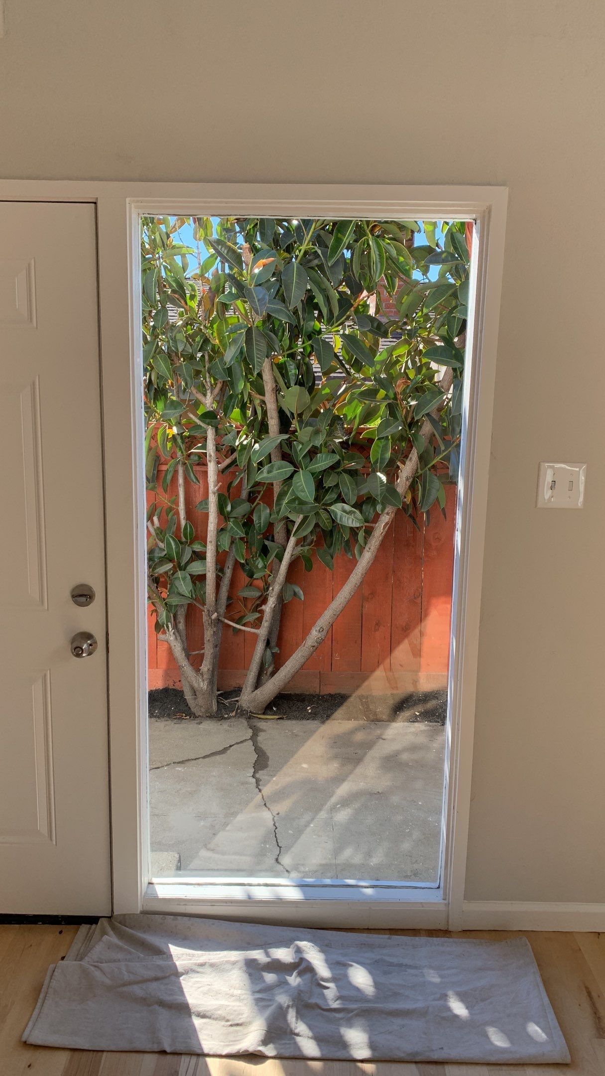  Tess Blengino Listing 2831 Gonzaga by SpotFree Window Cleaning