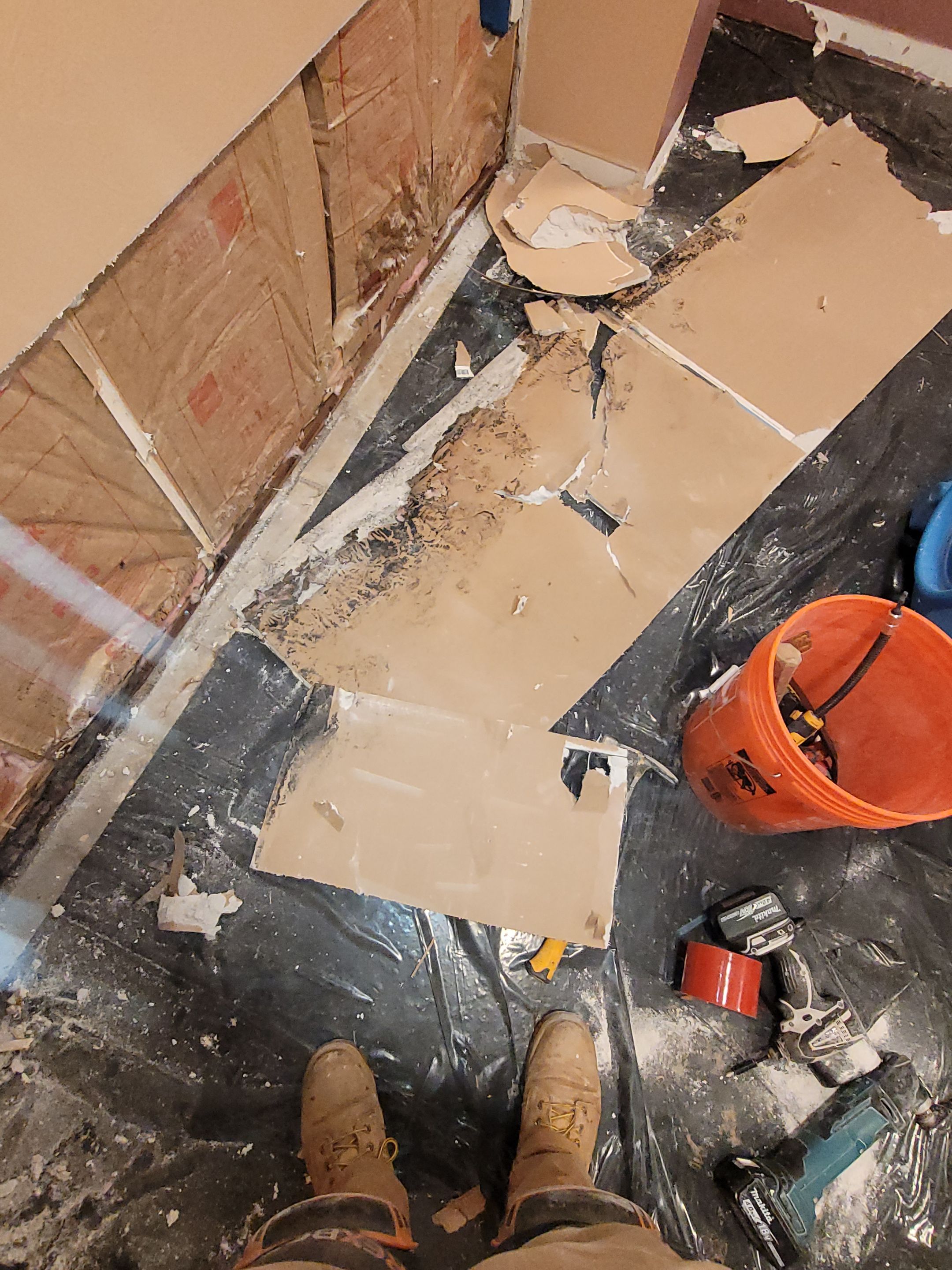 Water Damage and Mold Remediation by Accountable Home Services