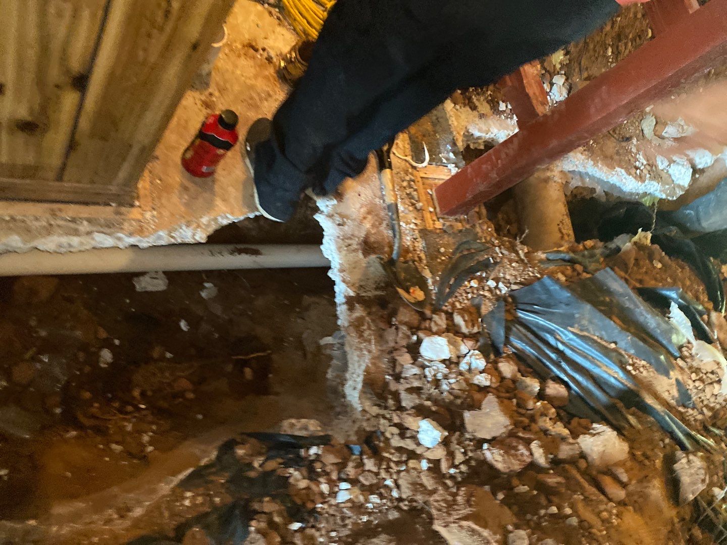 Project in Newcastle by PRO-ROOTER