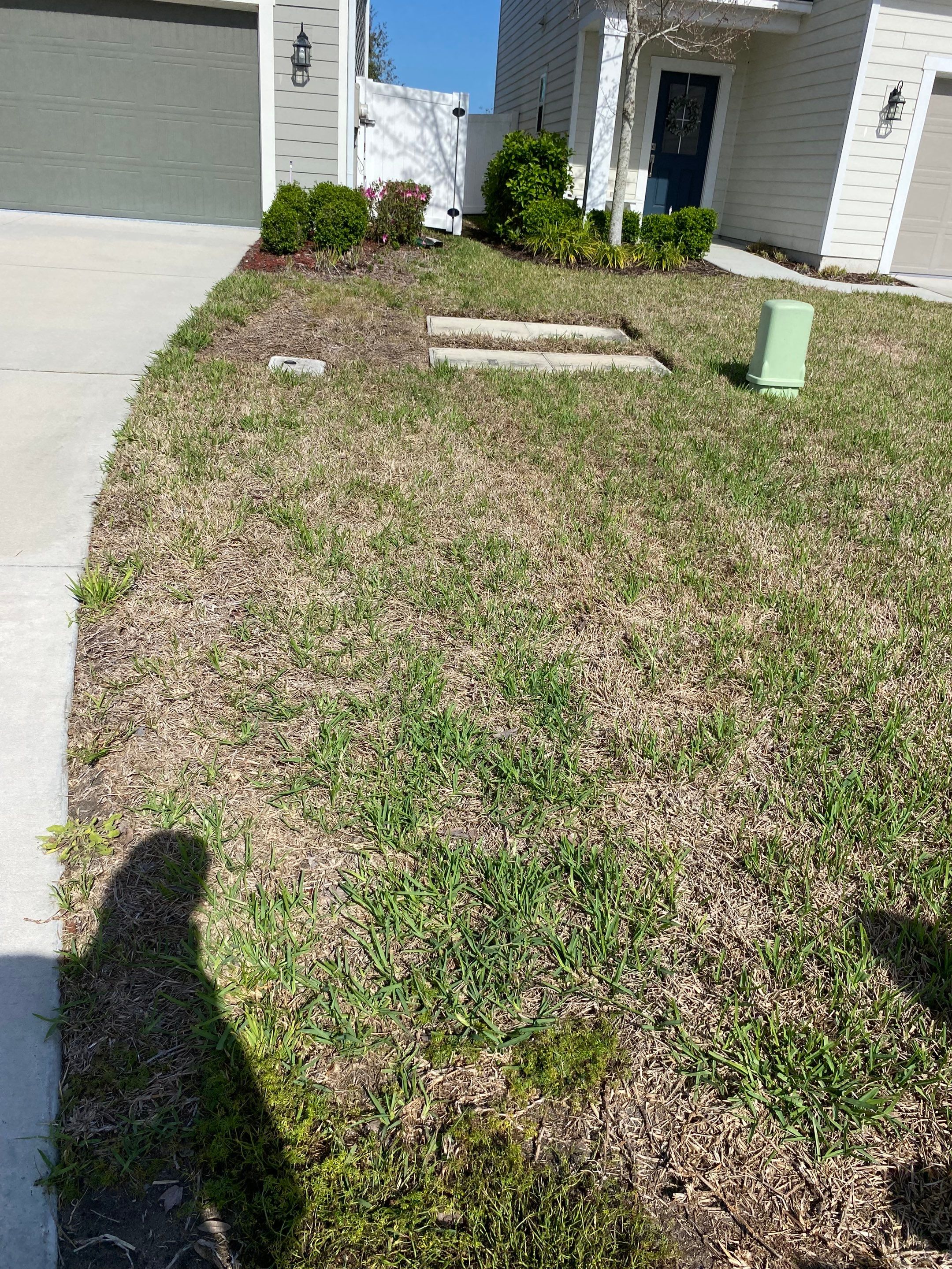 Residential | Sod Install by ProGreen Services