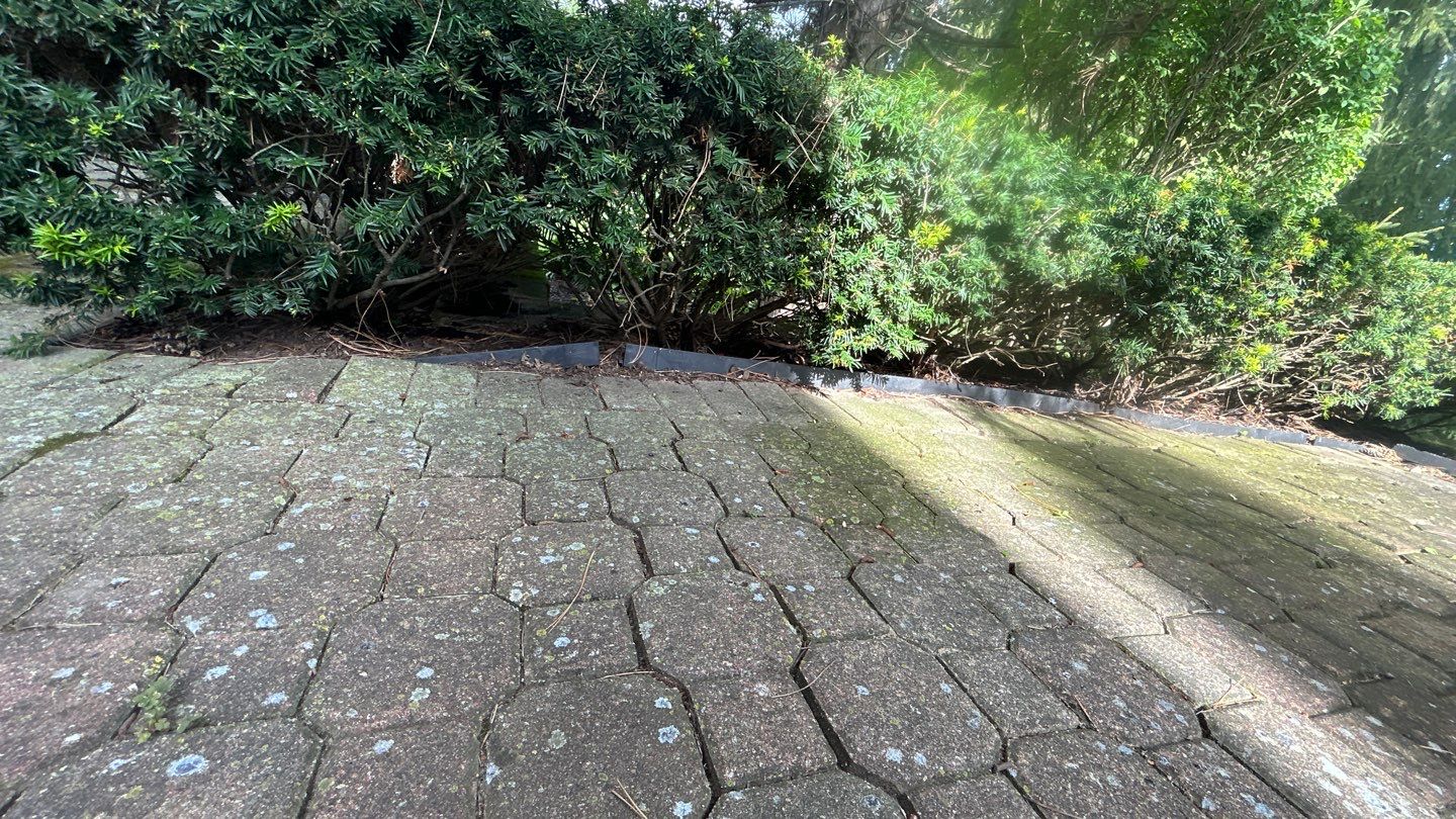 Brick paver repair, clean and seal by Northern Power Washing LLC.