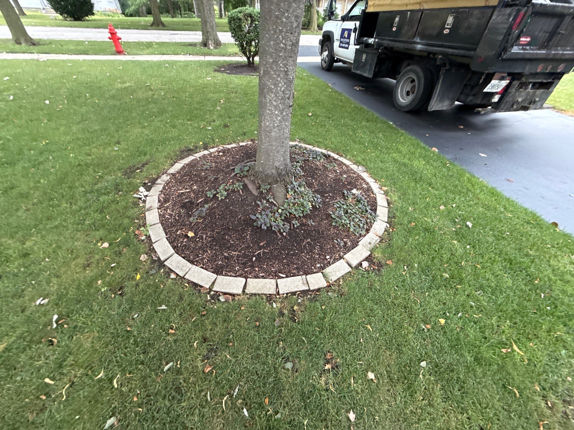 Karen M. - Palatine, IL by A&N