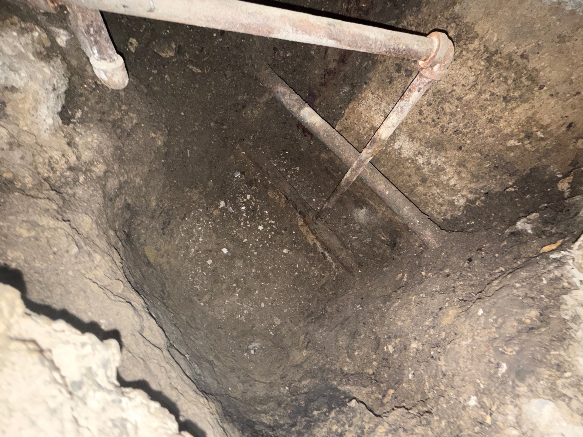 Steam Return Line Project by Thermacore