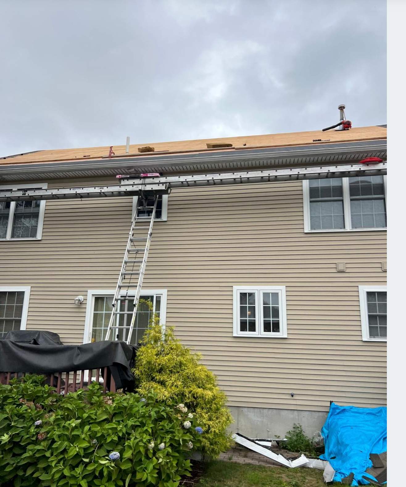 Project in Waltham by JOHNNYS PRO