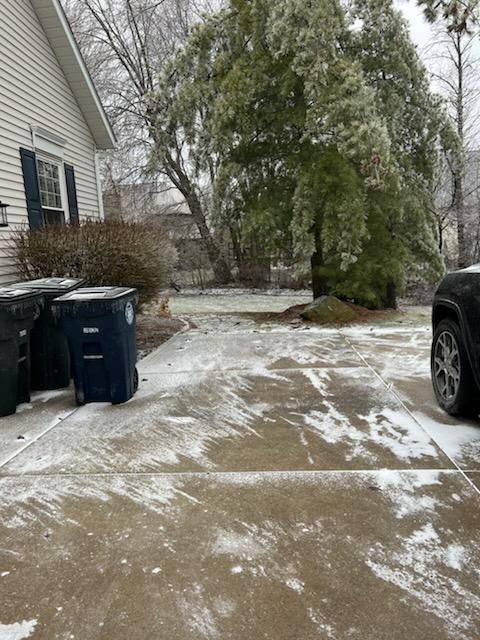 Tree Removal using Tree Removal by Mike Jones & Sons Tree Service LLC 