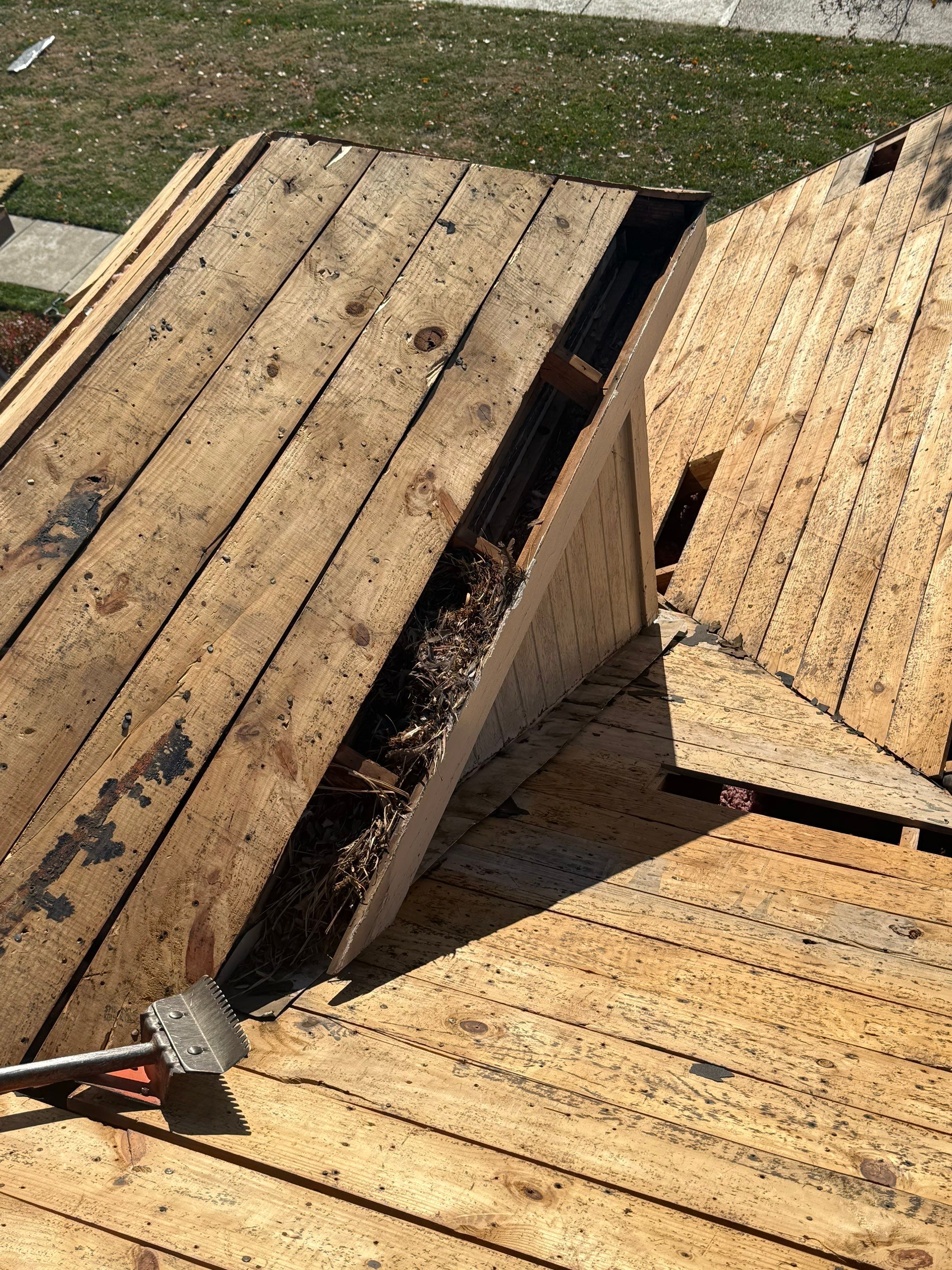 Project in Louisville, KY by GreenForce Restoration