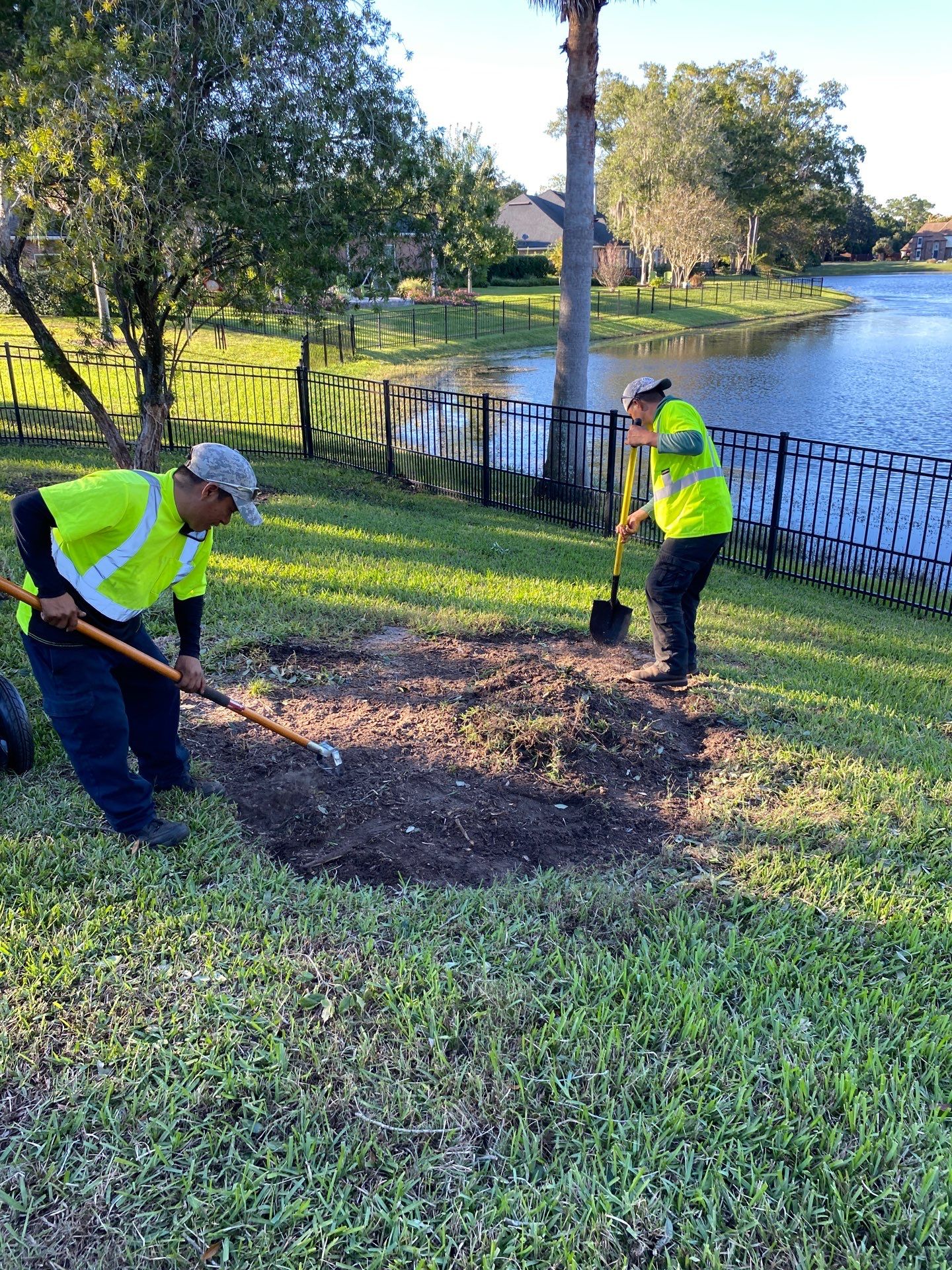 Deerwood | Tree Trimming & Sod Install | Residential by ProGreen Services