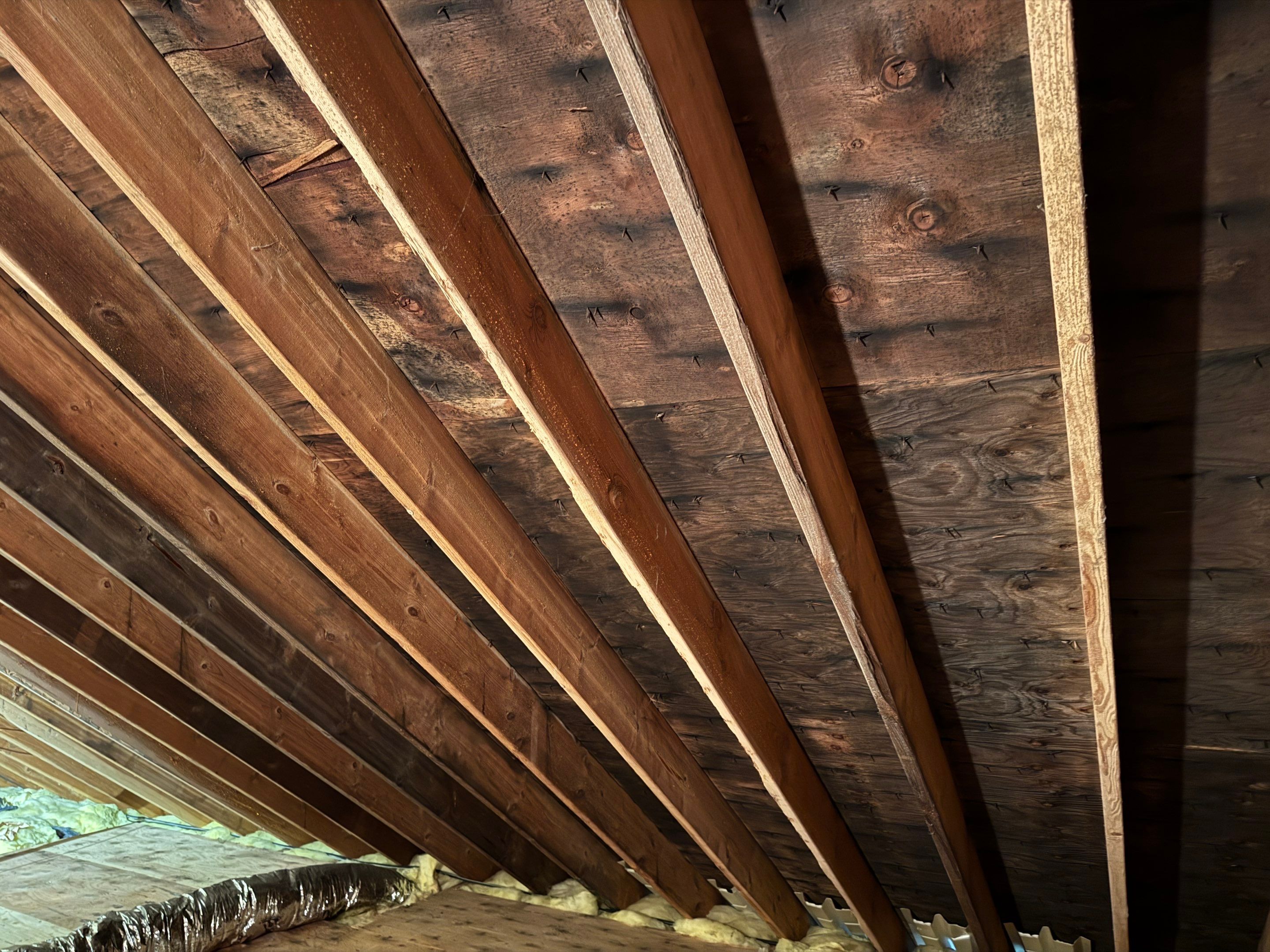 Attic Mold Remediation using Home Guarantee by Home Guarantee, LLC