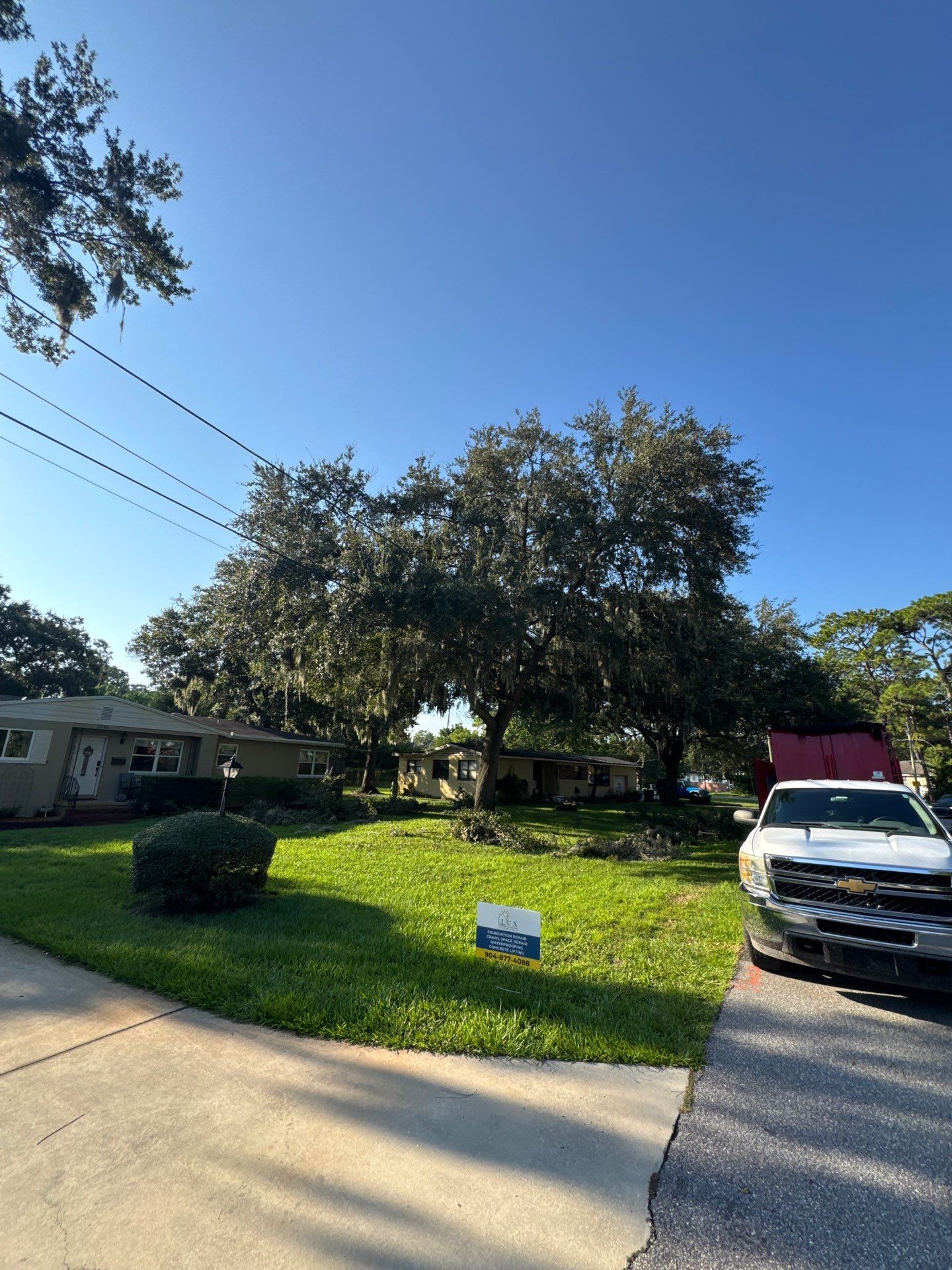 Residential | Tree Trimming  by ProGreen Services