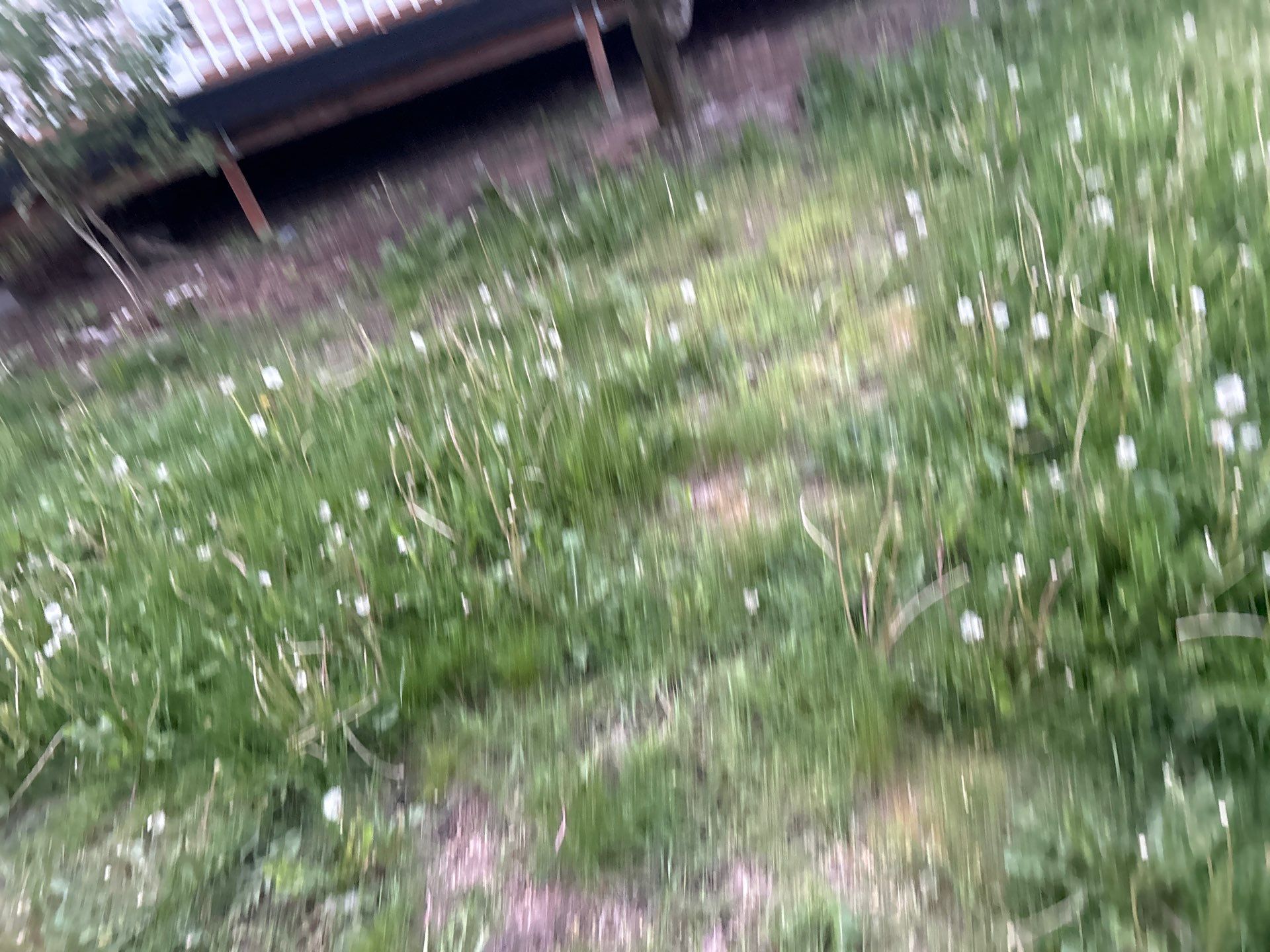 Project in Arlington by Connolly Construction Company