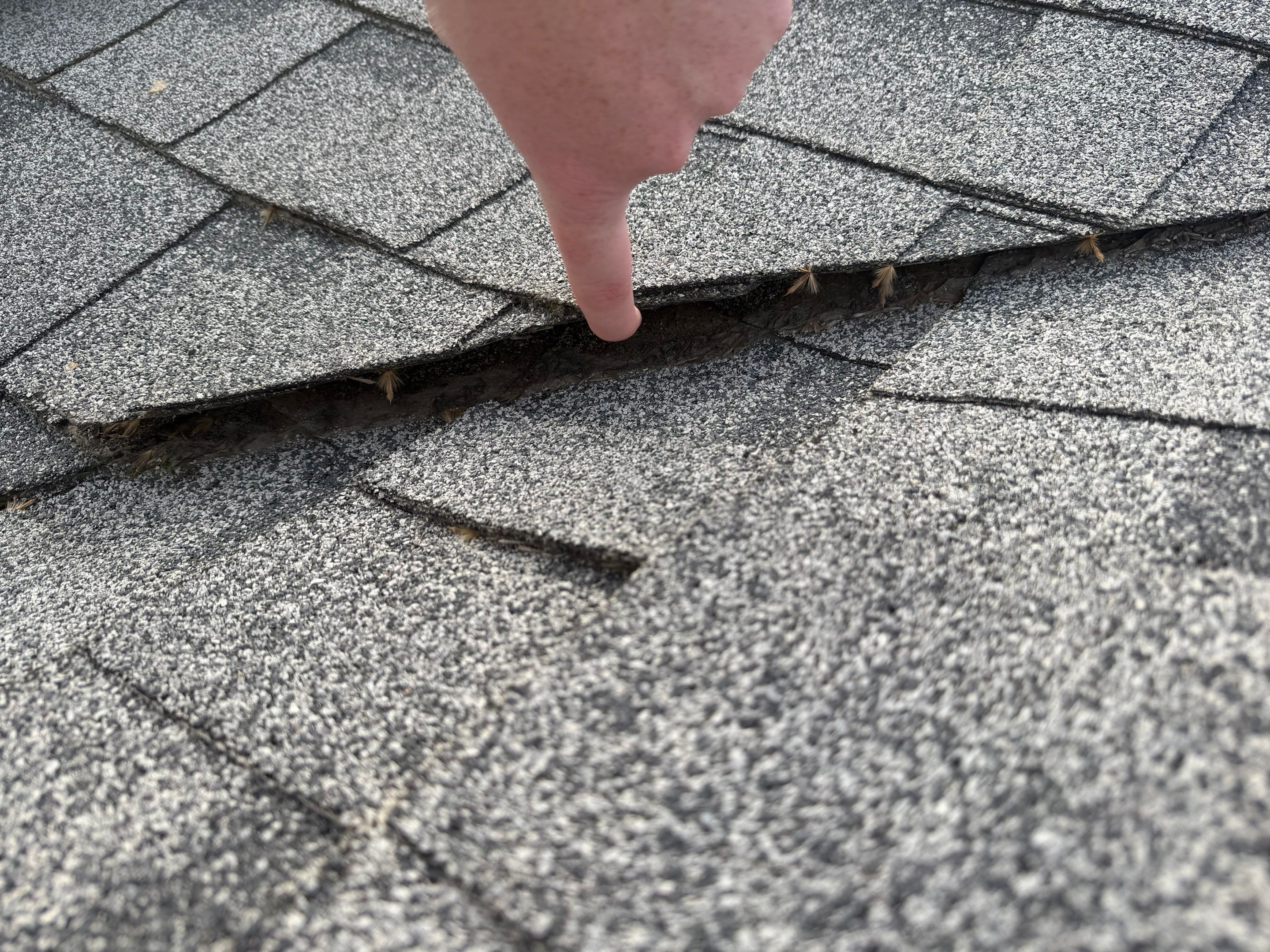 Roof, Siding, Door by BN Covered Exteriors