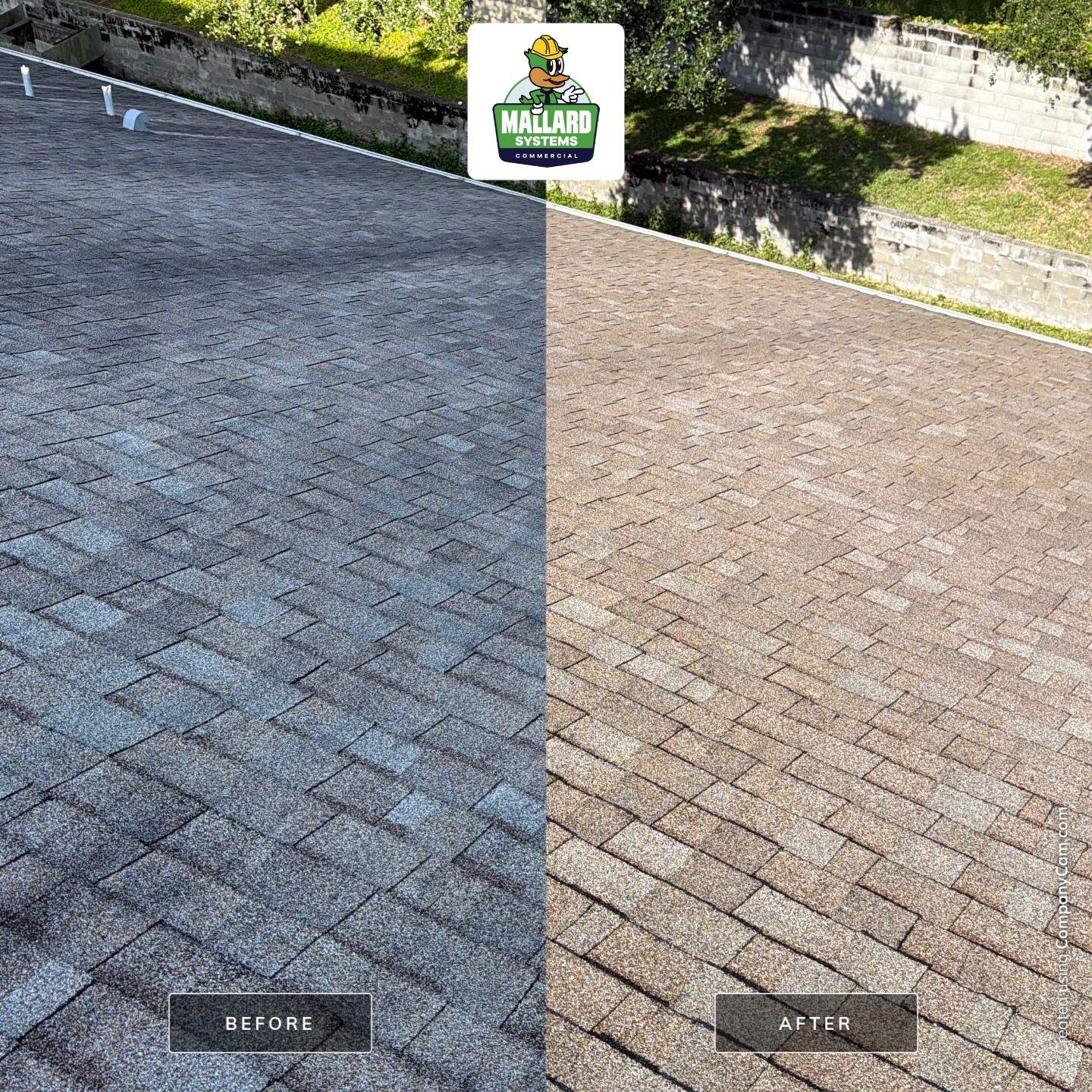 Shingle Roof Cleaning at Kissimmee Commercial Center by Mallard Systems