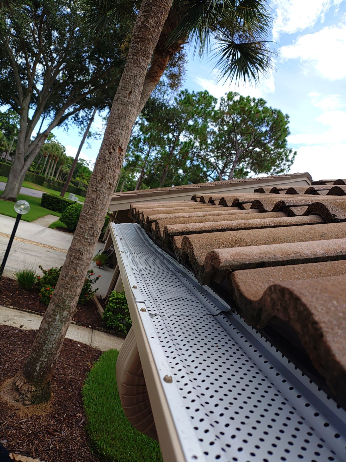 Replace gutter using Gutter Guards, Seamless Gutters, New Downspouts in Palm Harbor FL by Gutter Professors