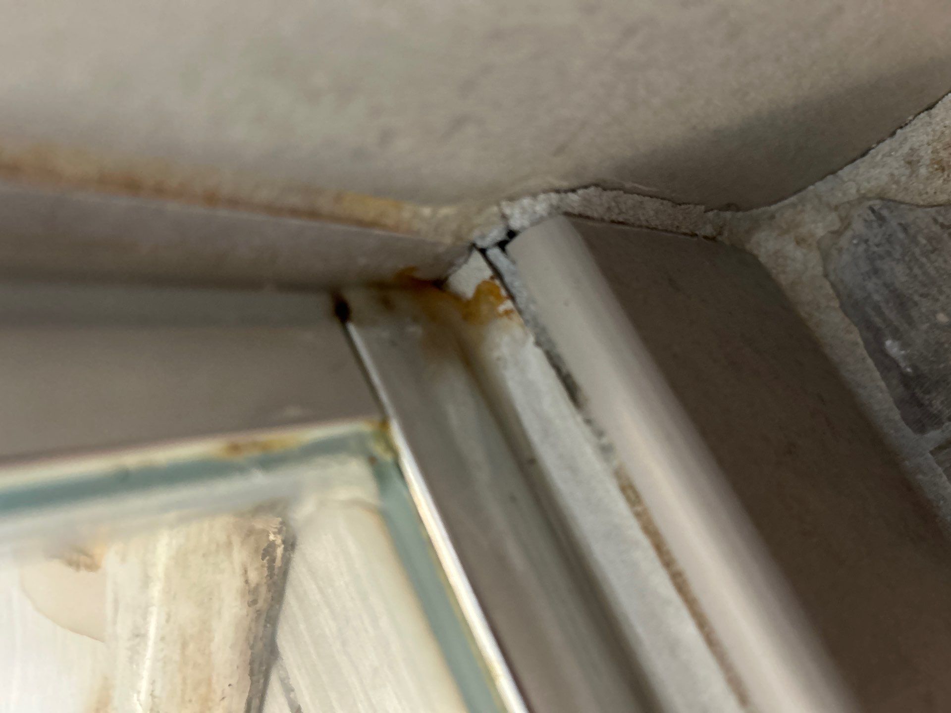 Mold Remediation In Palmetto by Ampm Restoration Services 