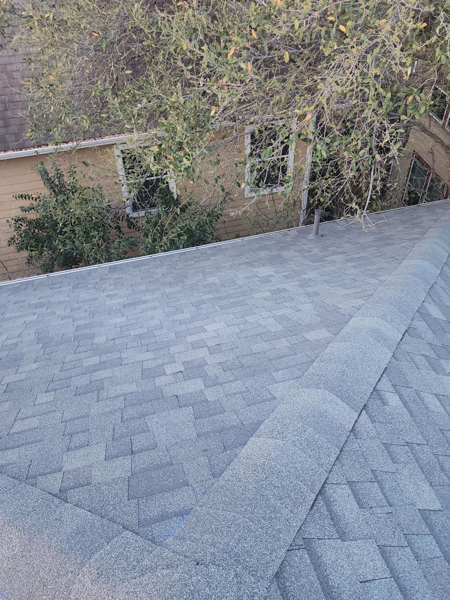 Tall, tall, tall by REPS Austin Area Roofer