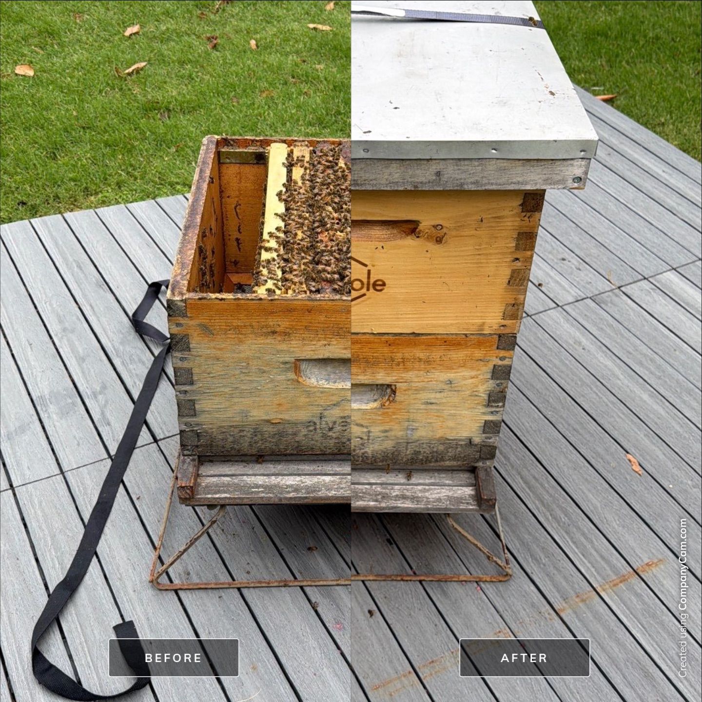 Platform Precious Population by Rockwall Honey Bee Company