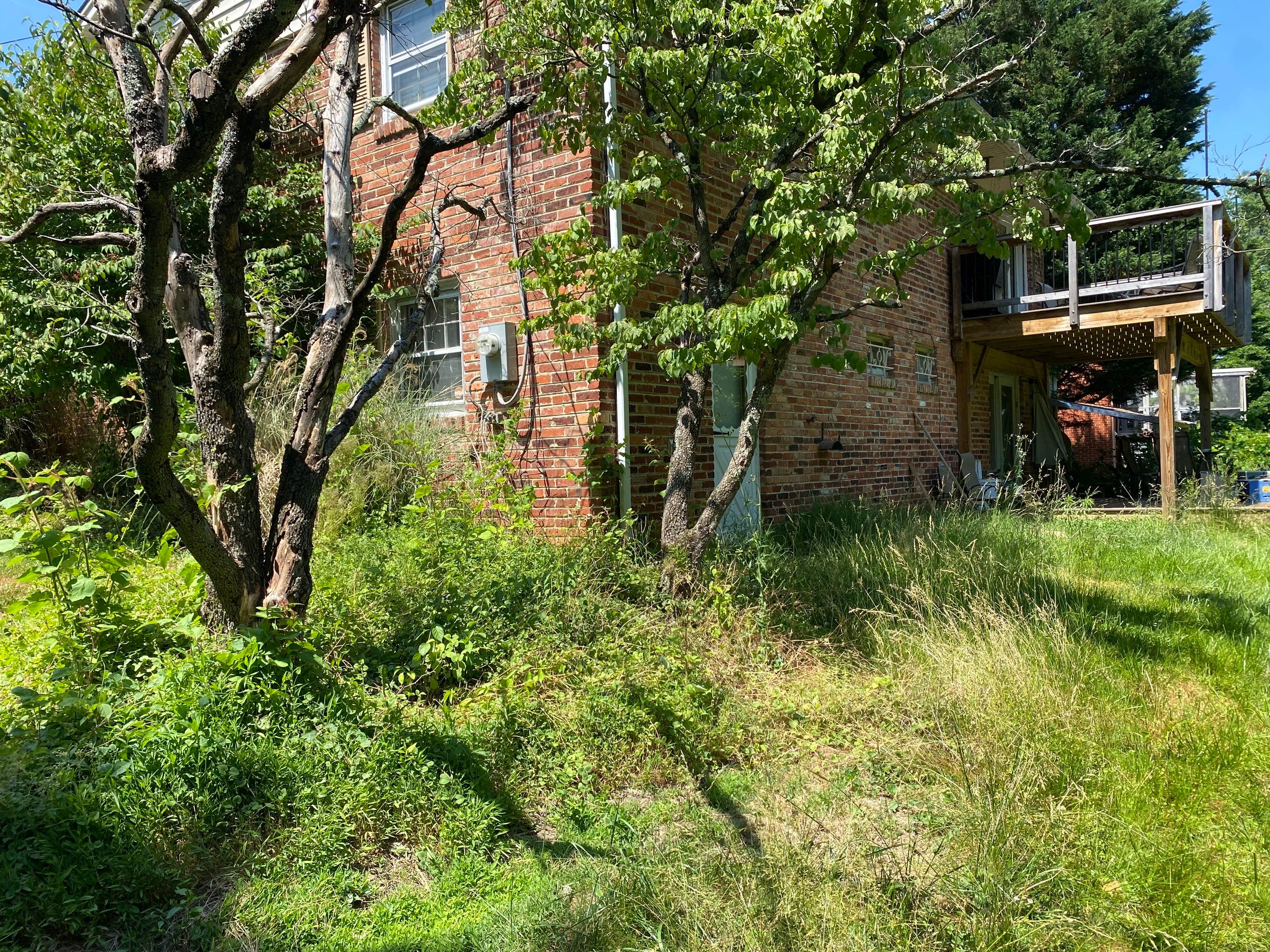 Landscape cleanup by The Smet Companies, LLC