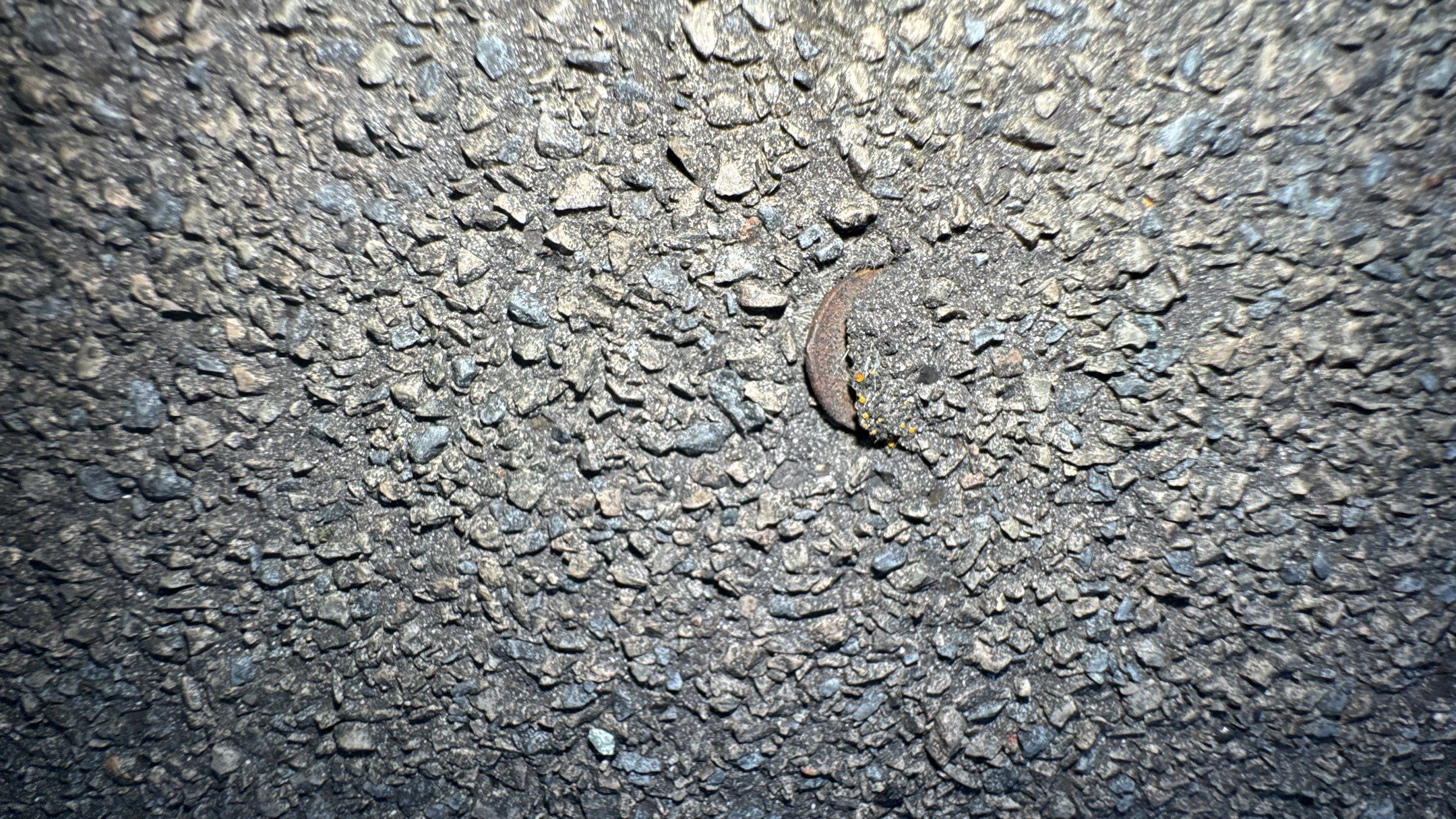 Roof Replacement using Owens Corning Onyx Black by 180 Contractors