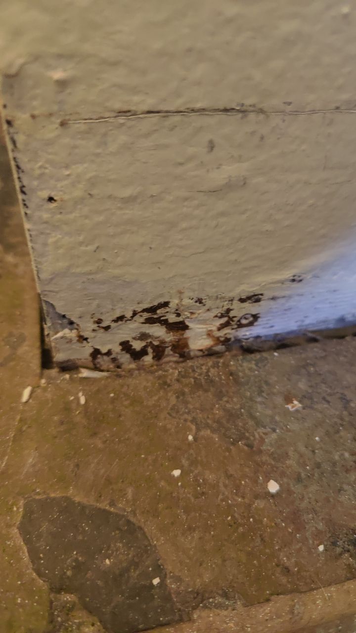 Water Damage  by Accountable Home Services