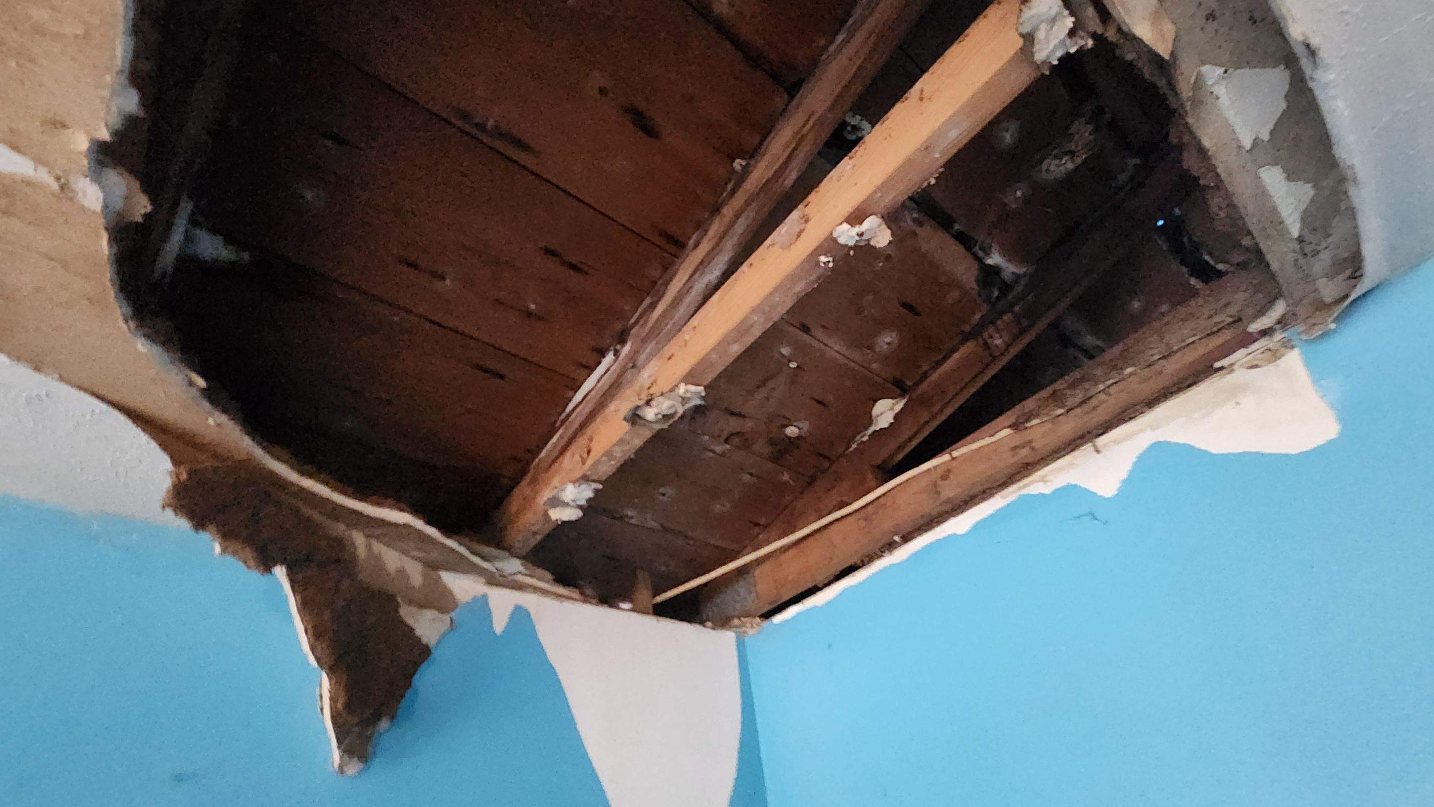 Tree Damage Claim in Orlando by FLAPA & KeyStone